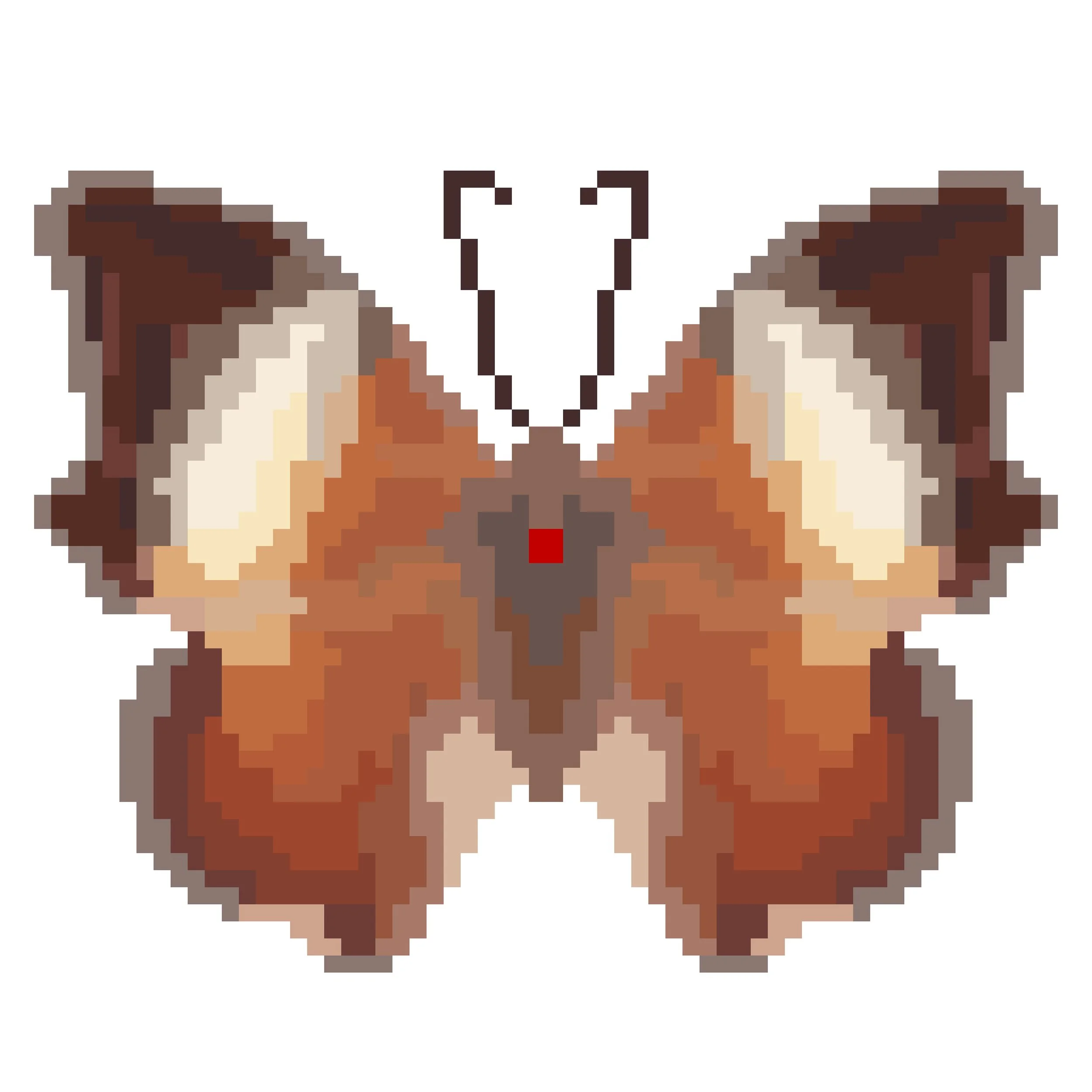 Wingpin#0510-Charaxes borneensis.jpg