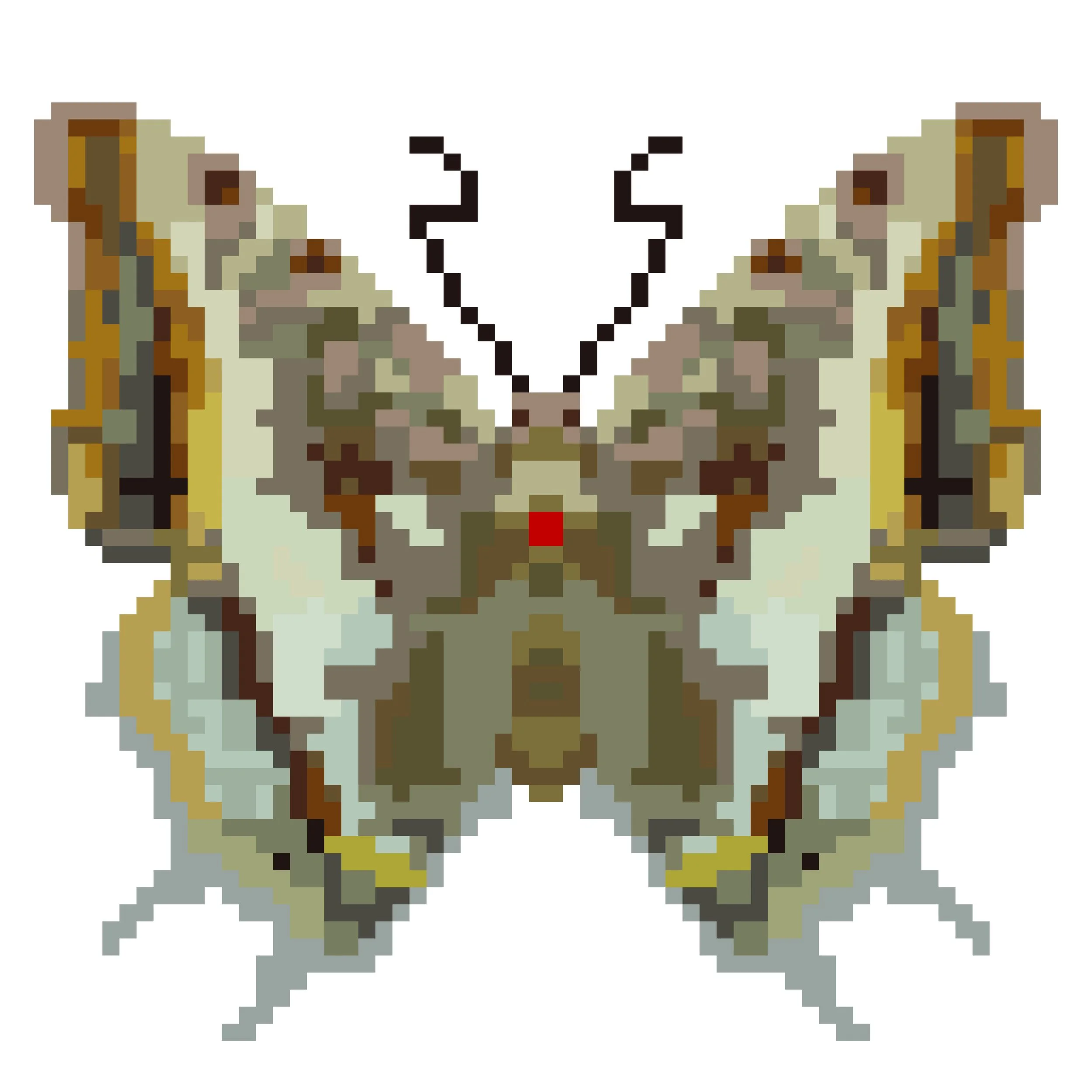 Wingpin#0223-Charaxes druceanus.jpg