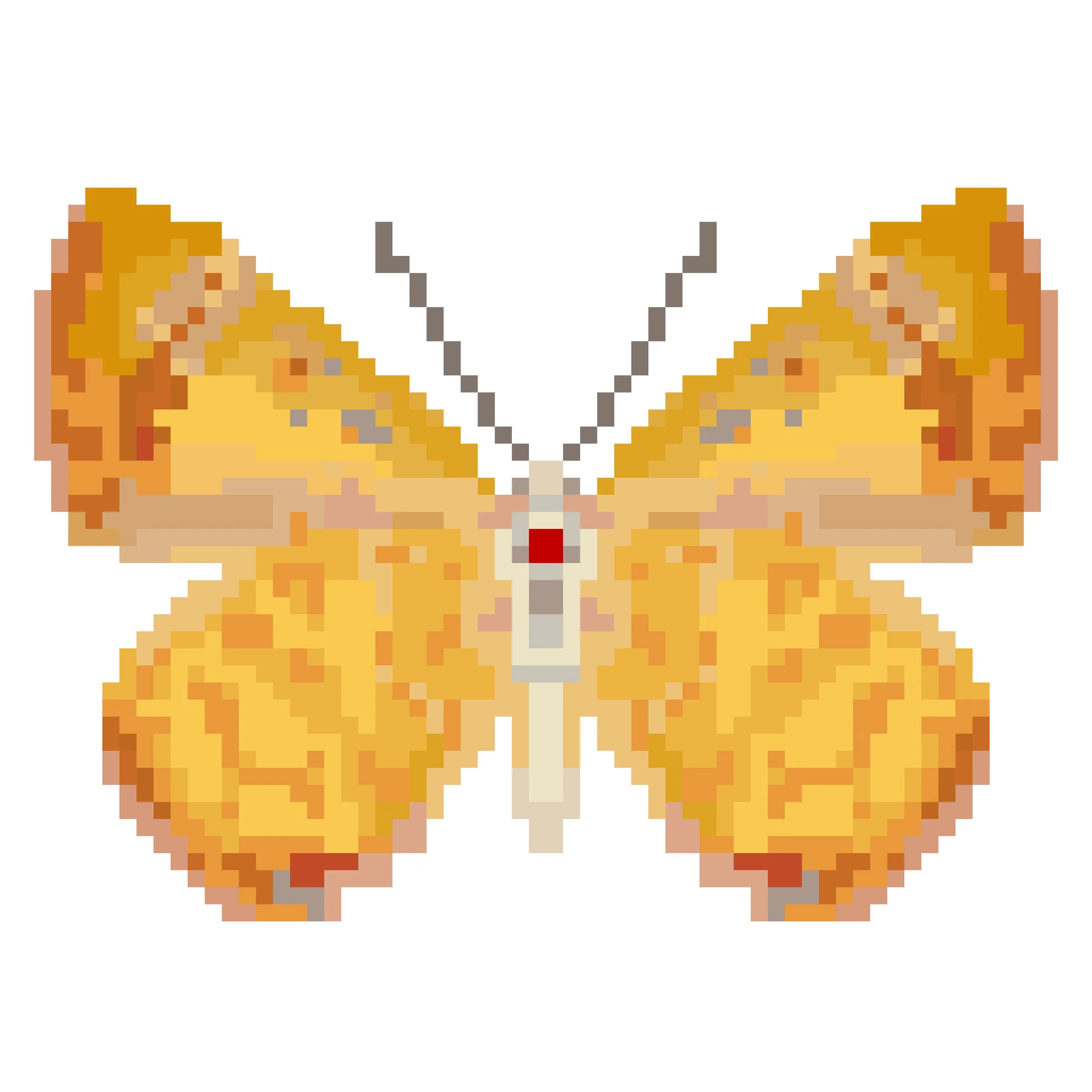 Wingpin#0546-Hypochrysops byzos.jpg