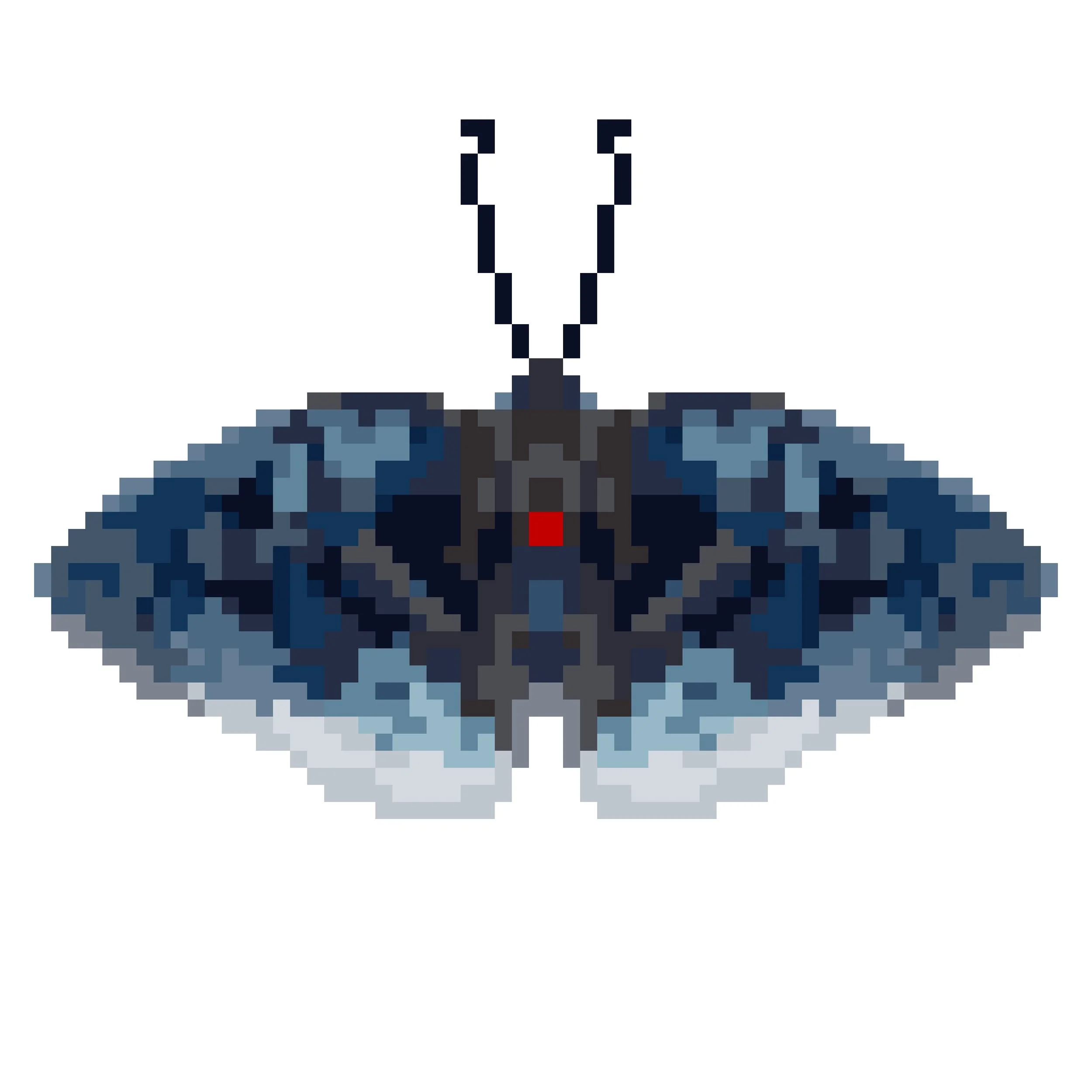 Wingpin#0490-Stibochiona nicea.jpg