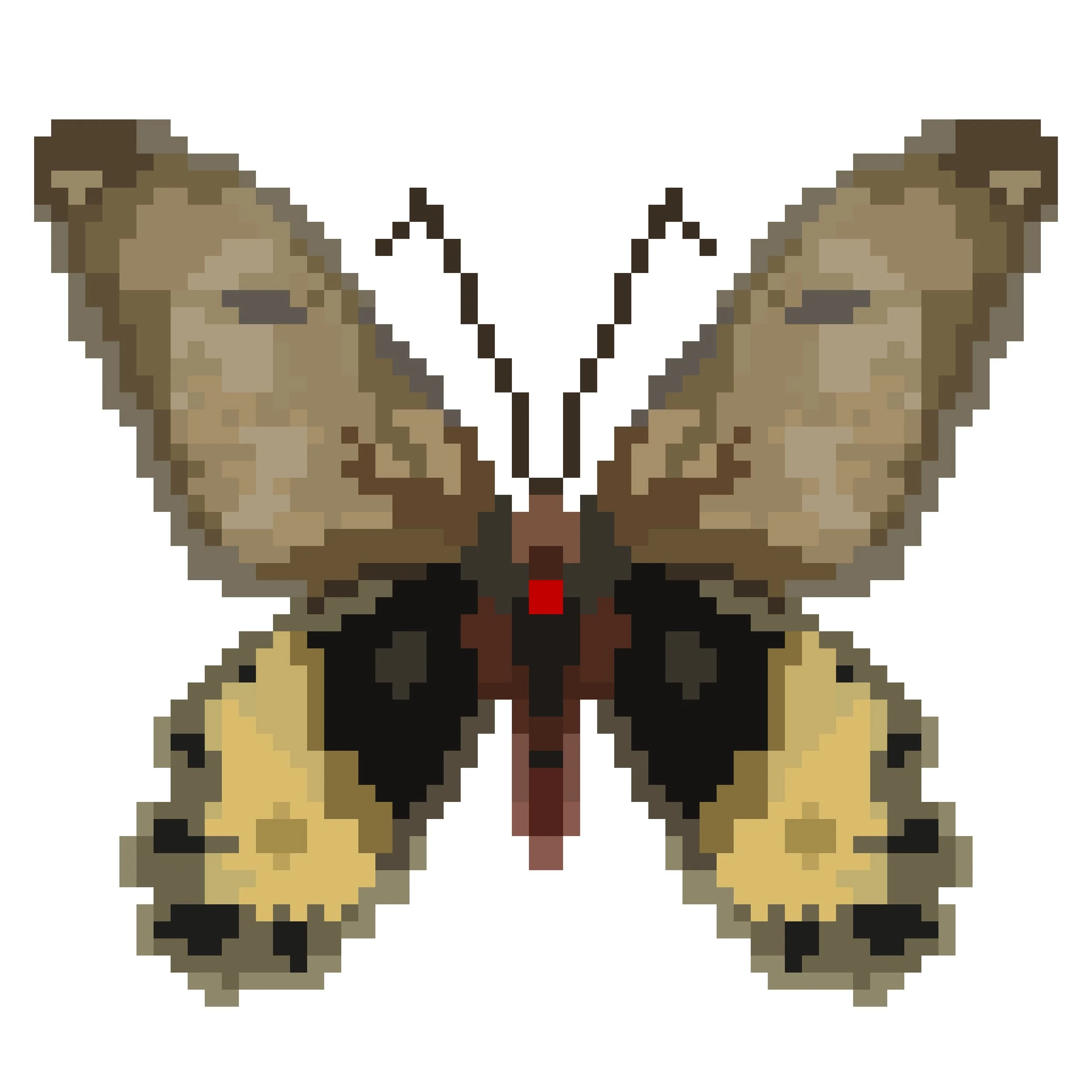 Wingpin#0923-Atrophaneura luchti.jpg