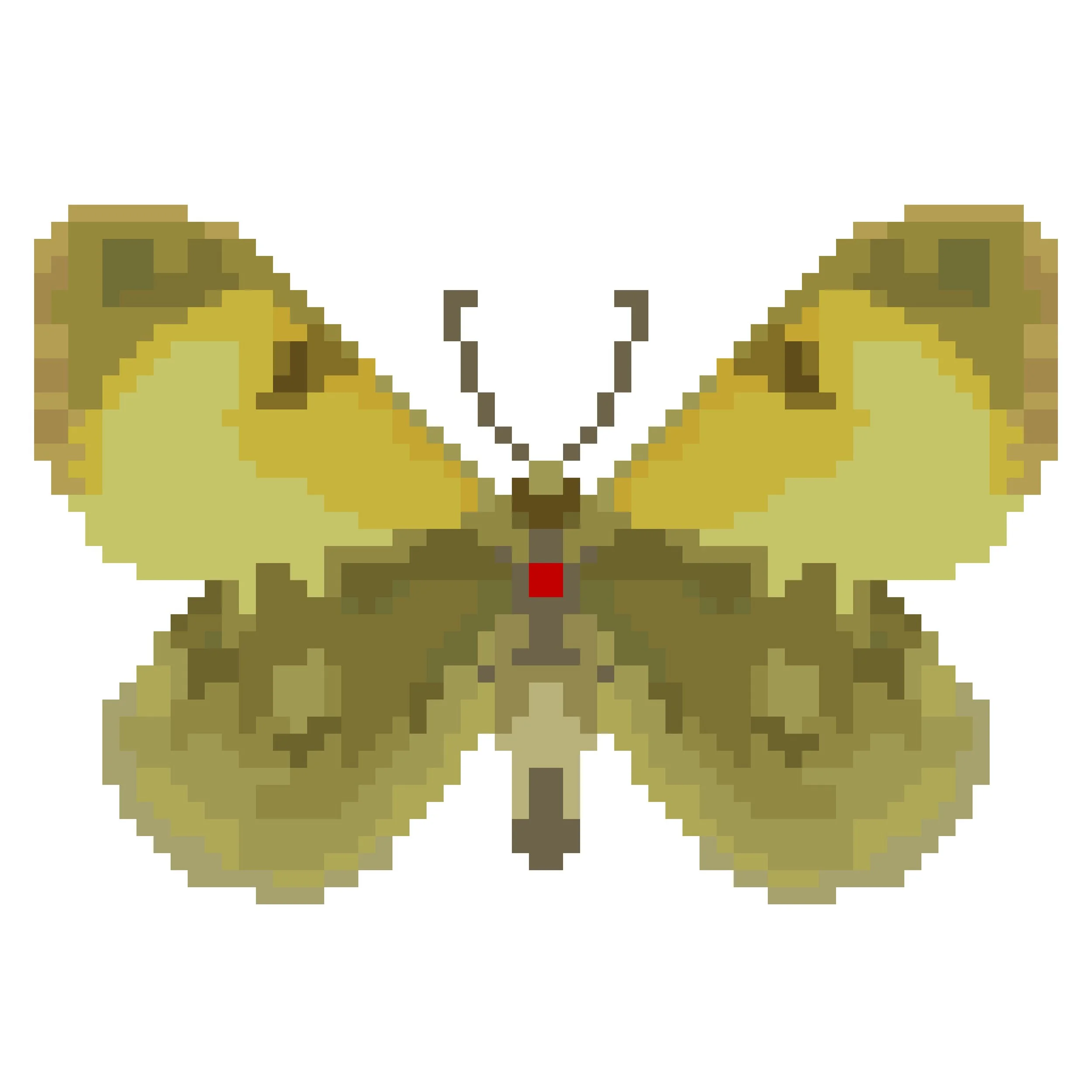 Wingpin#0534-Euchloe penia.jpg