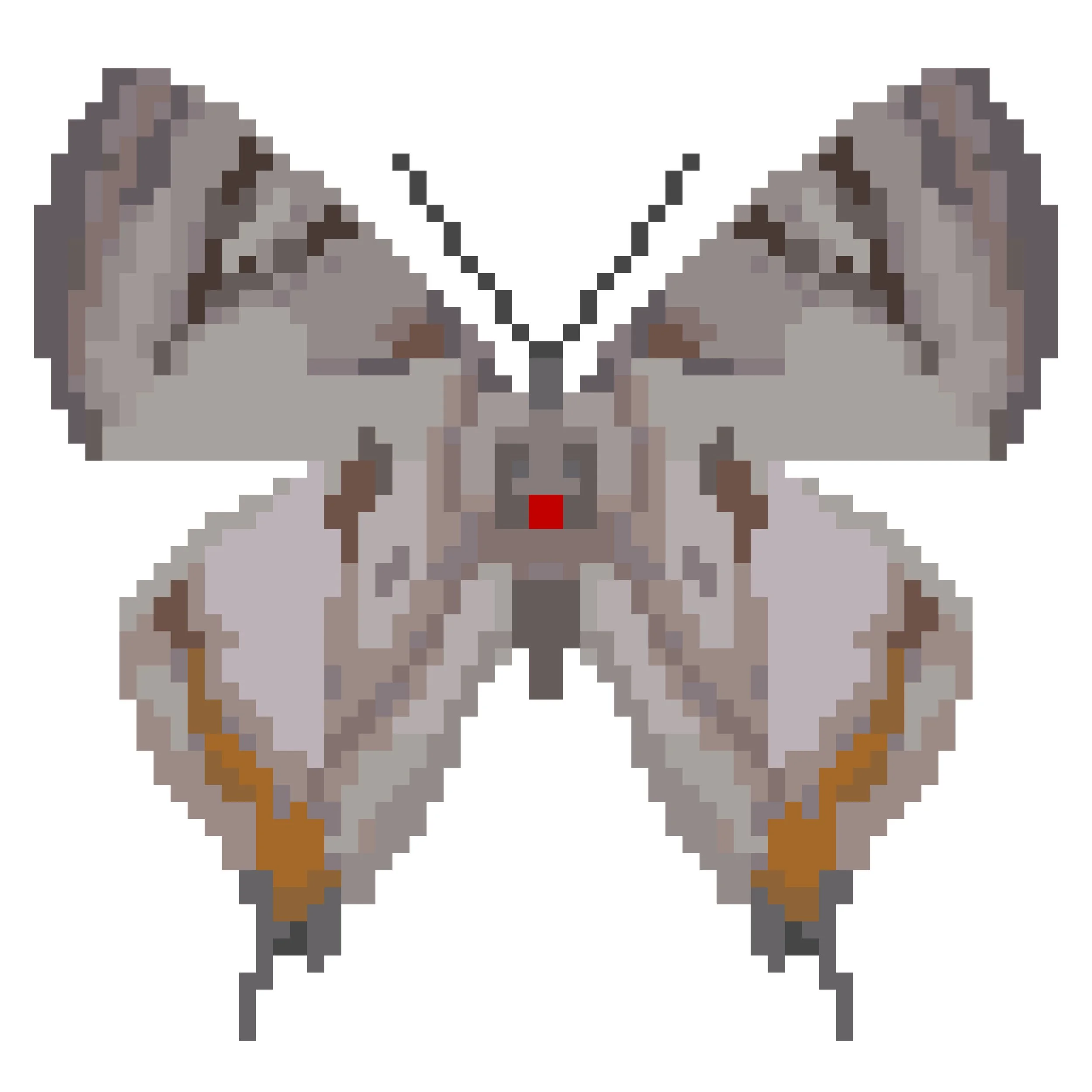 Wingpin#0477-Dodona deodata.jpg