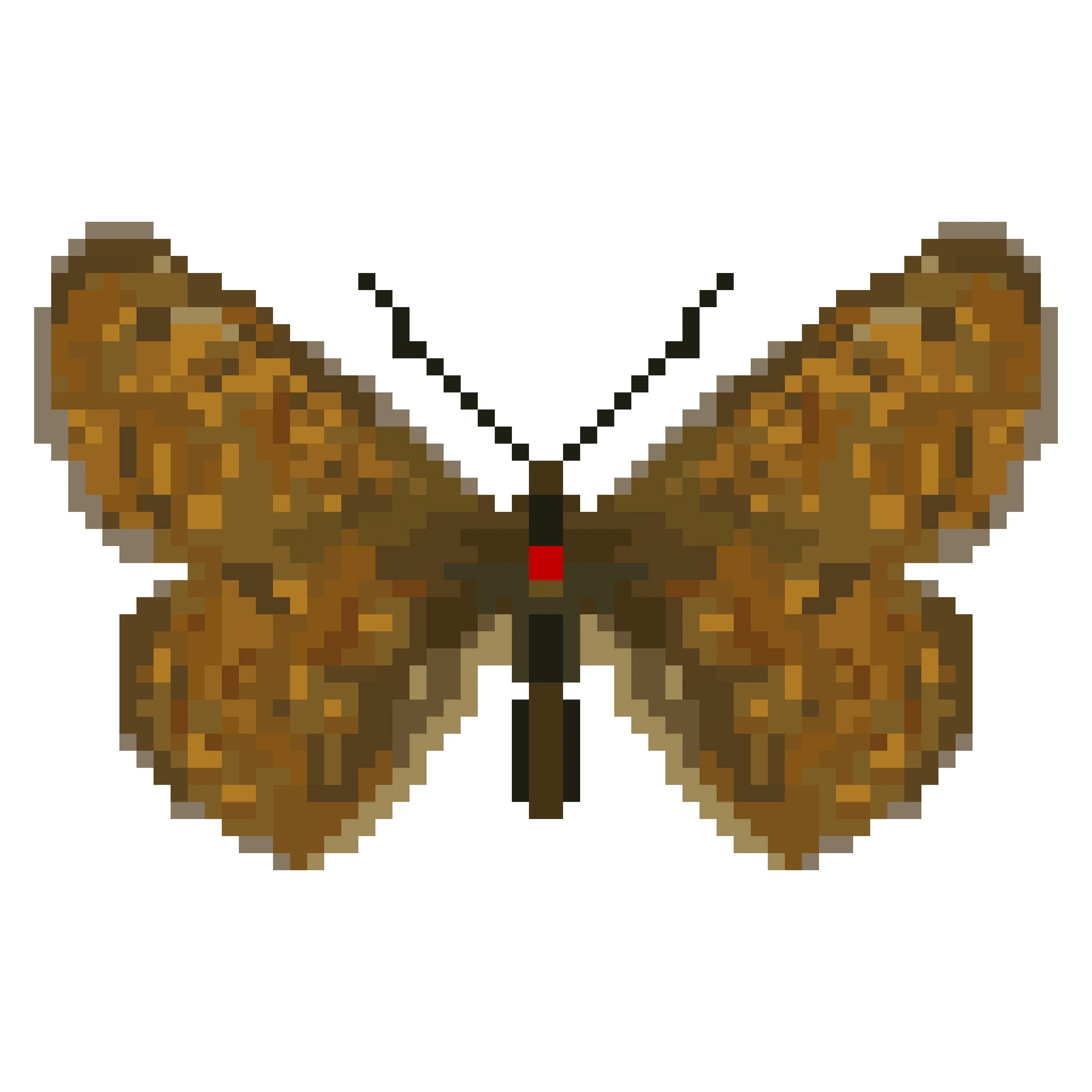 Wingpin#0267-Melitaea cinxia.jpg