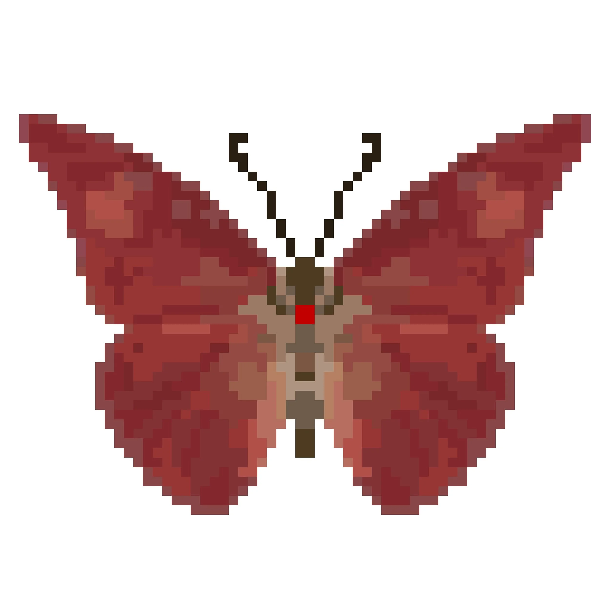 Wingpin#0245-Appias zarinda.jpg