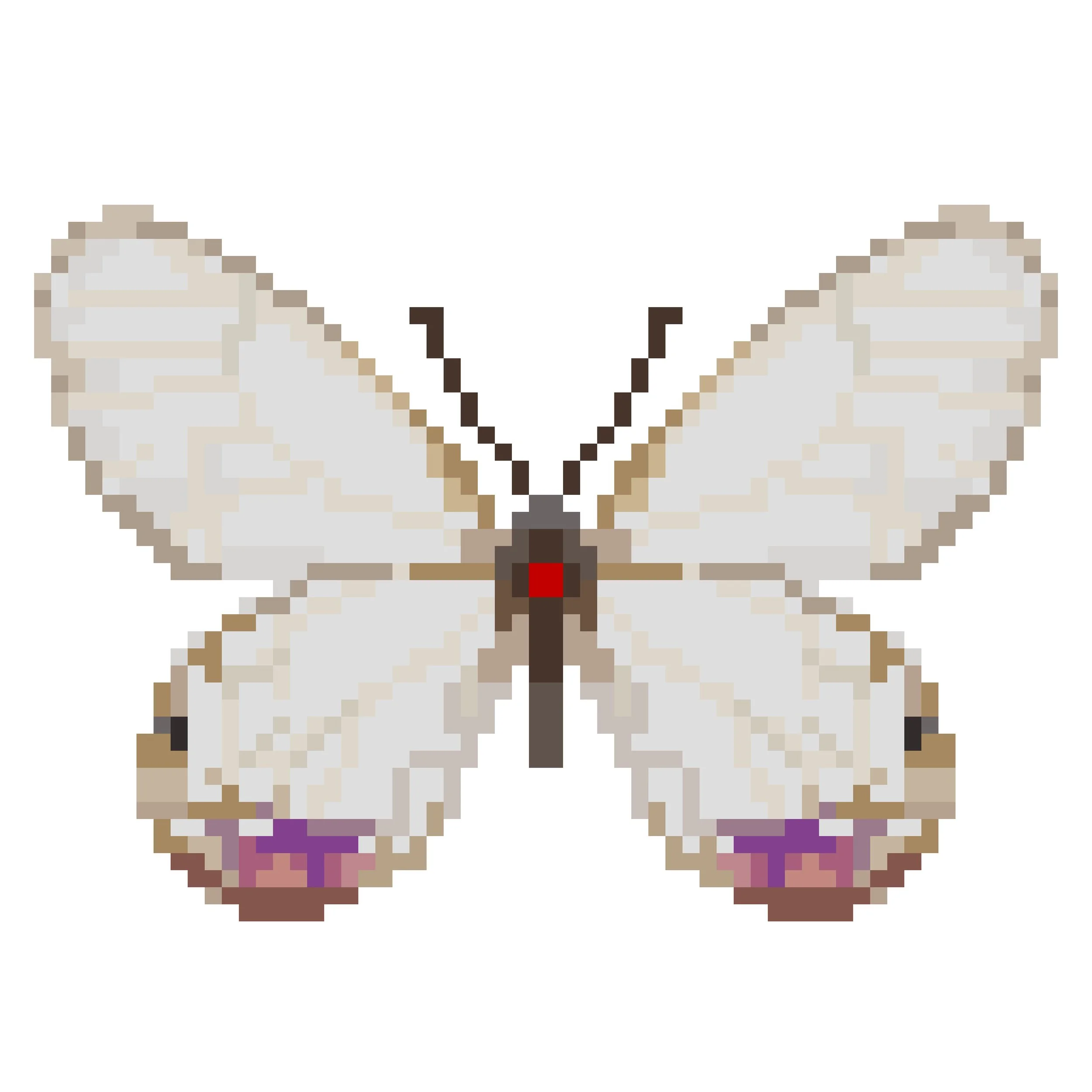 Wingpin#0564-Cithaerias esmeralda.jpg