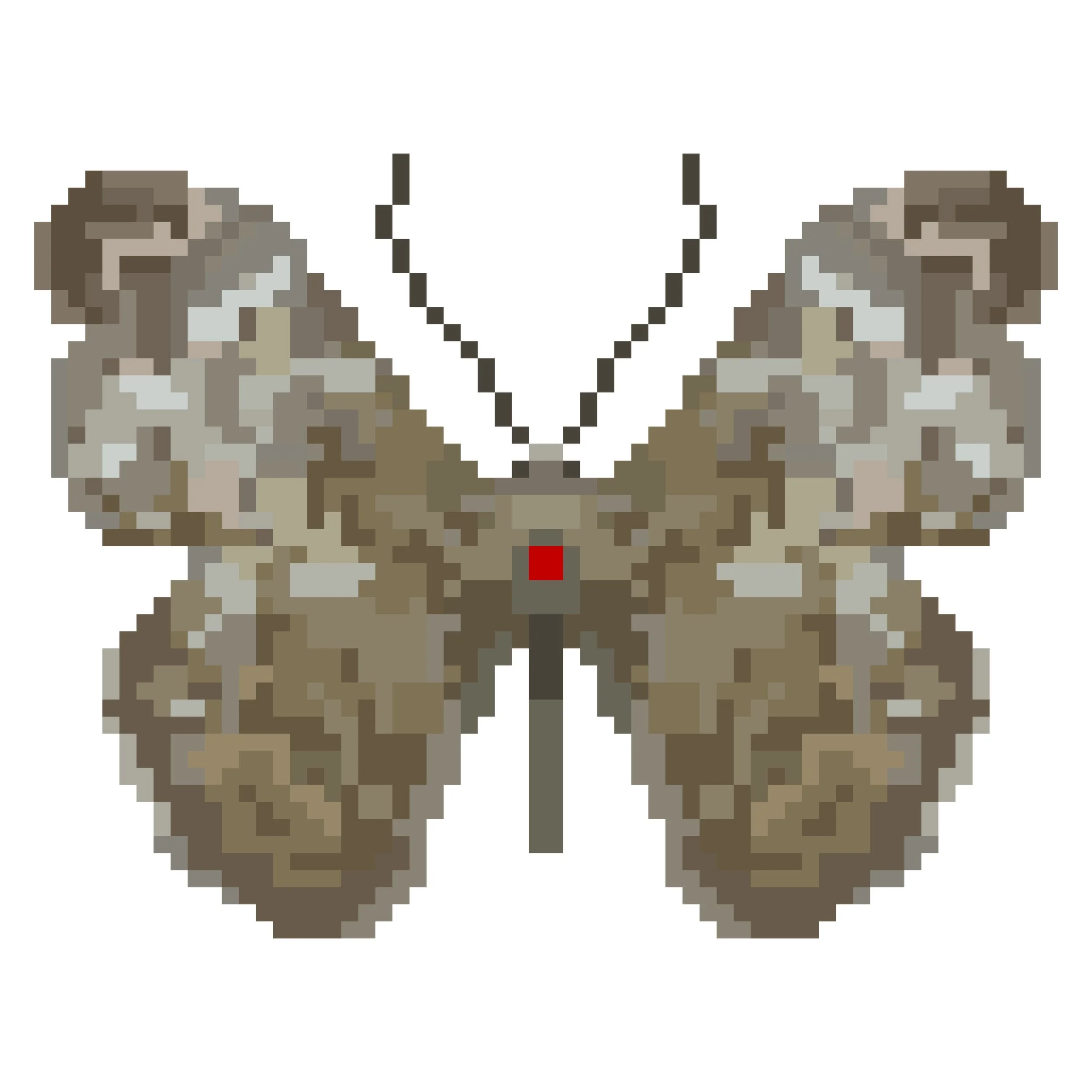 Wingpin#0669-Hamadryas feronia.jpg