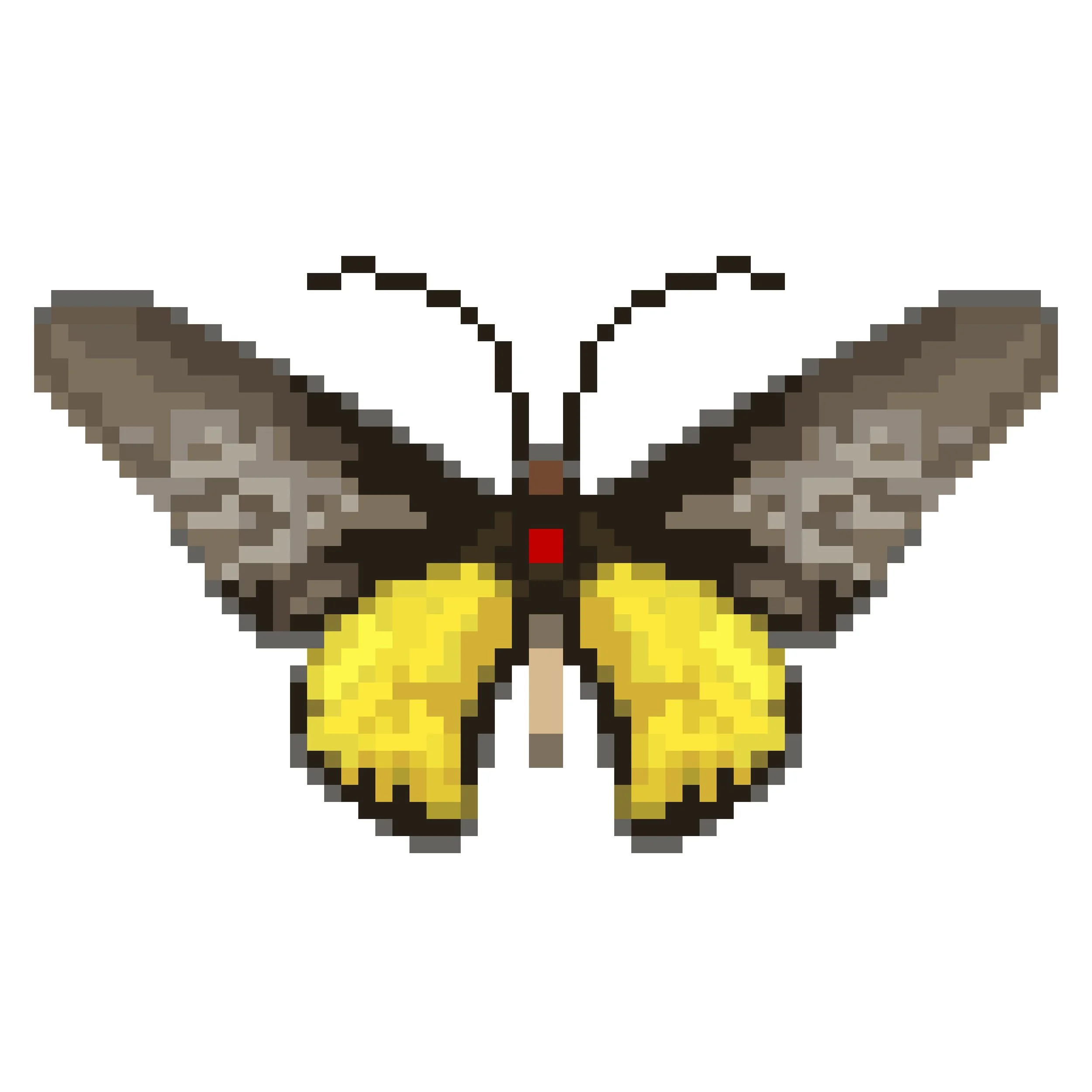 Wingpin#0269-Troides minos.jpg