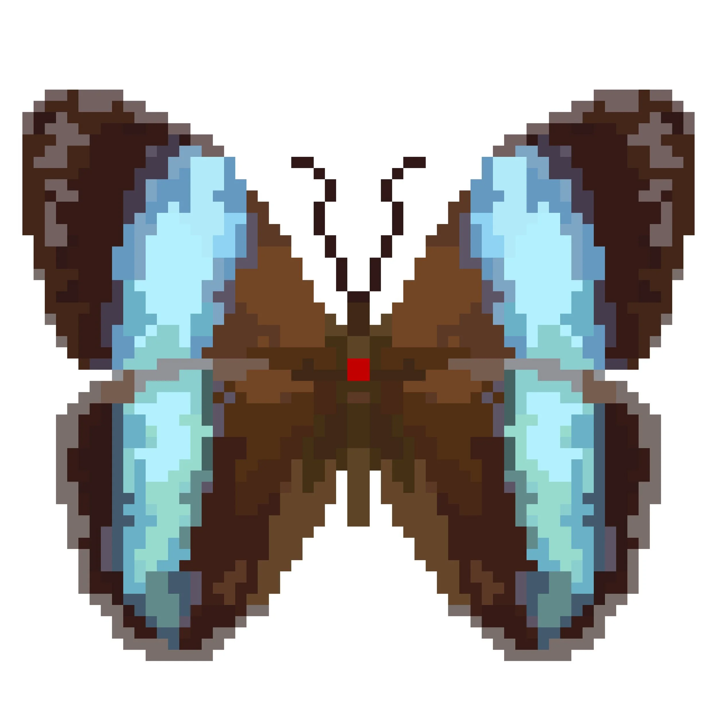 Wingpin#0924-Morpho achilles.jpg
