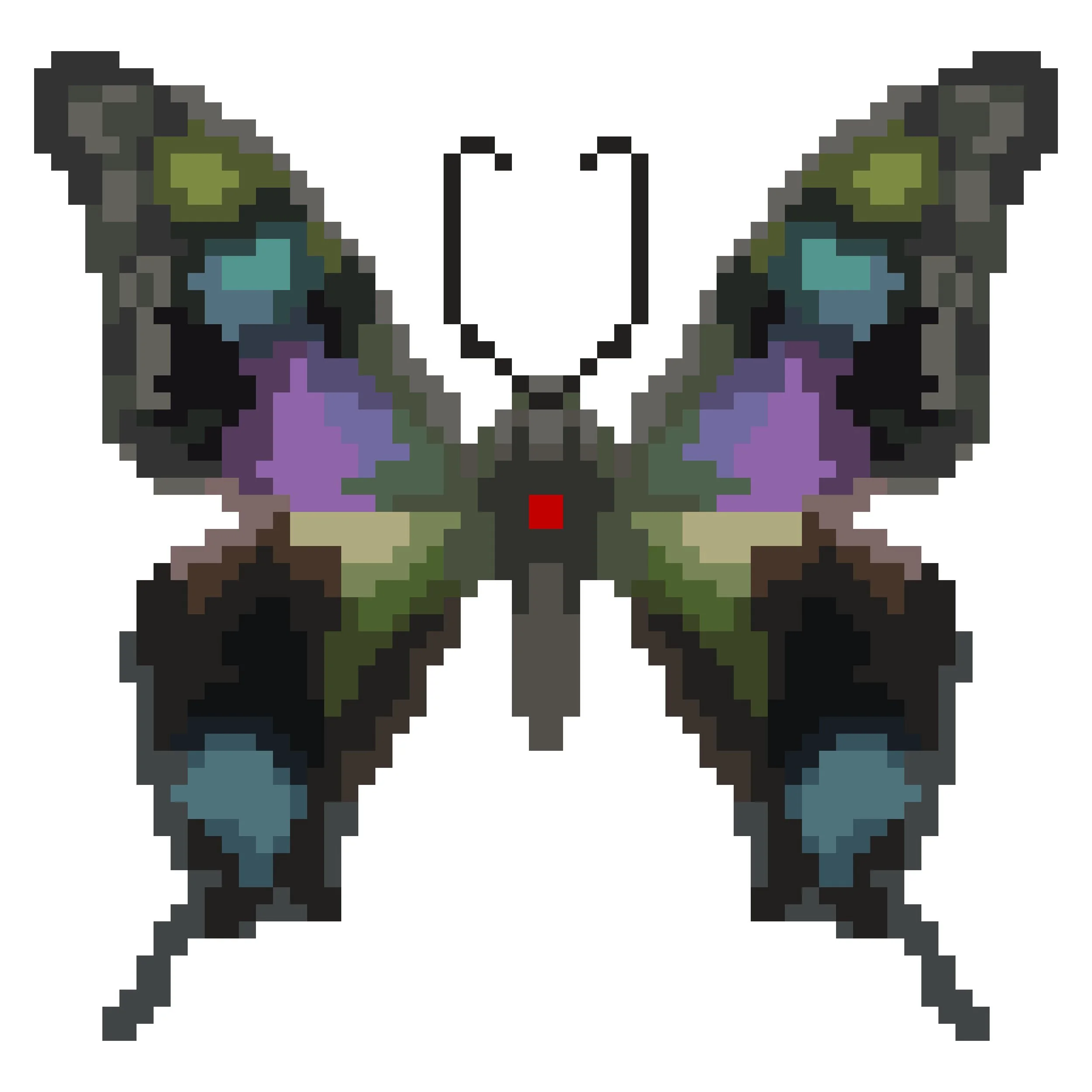 Wingpin#0993-Ancyluris endaemon.jpg