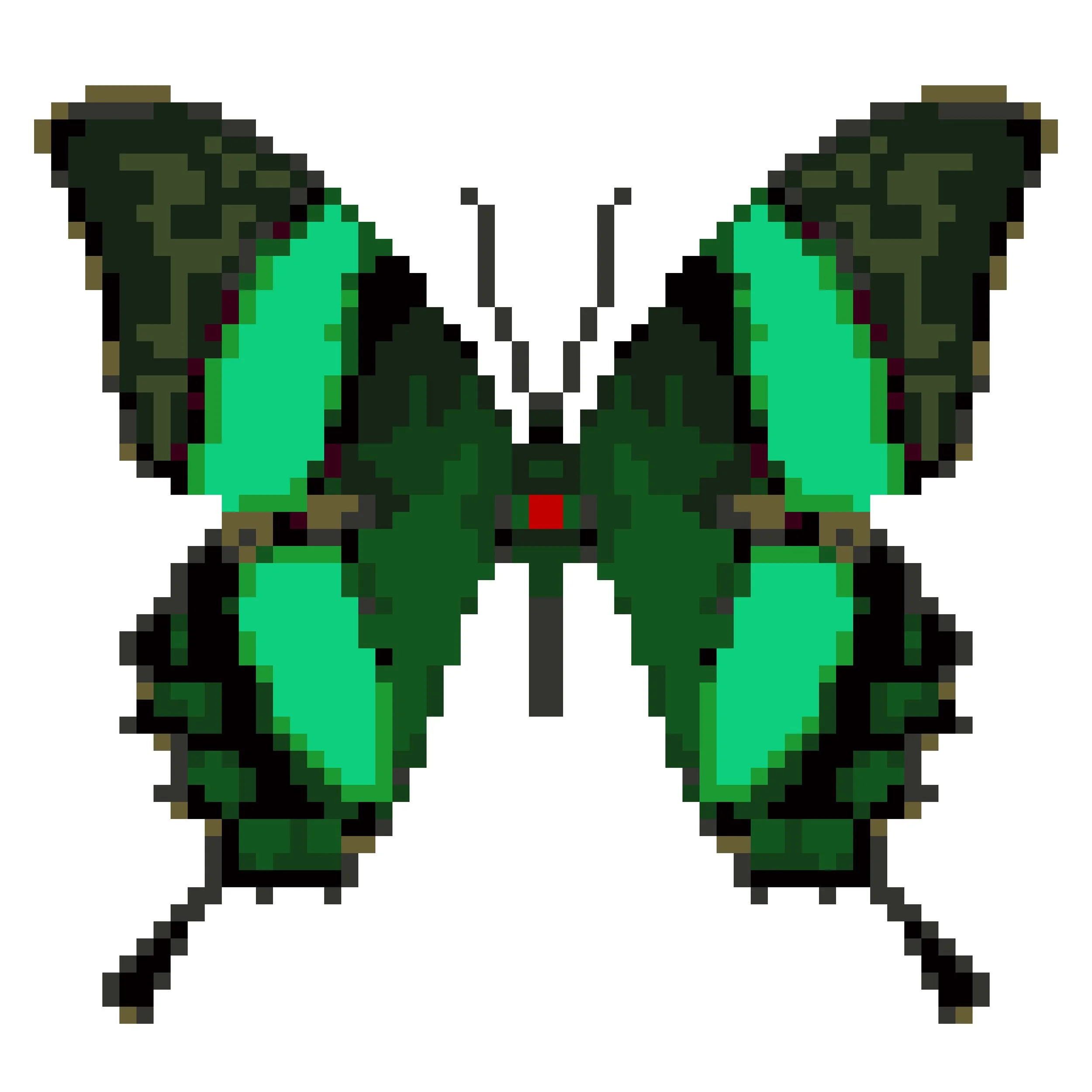 Wingpin#0042-Papilio palinurus.jpg