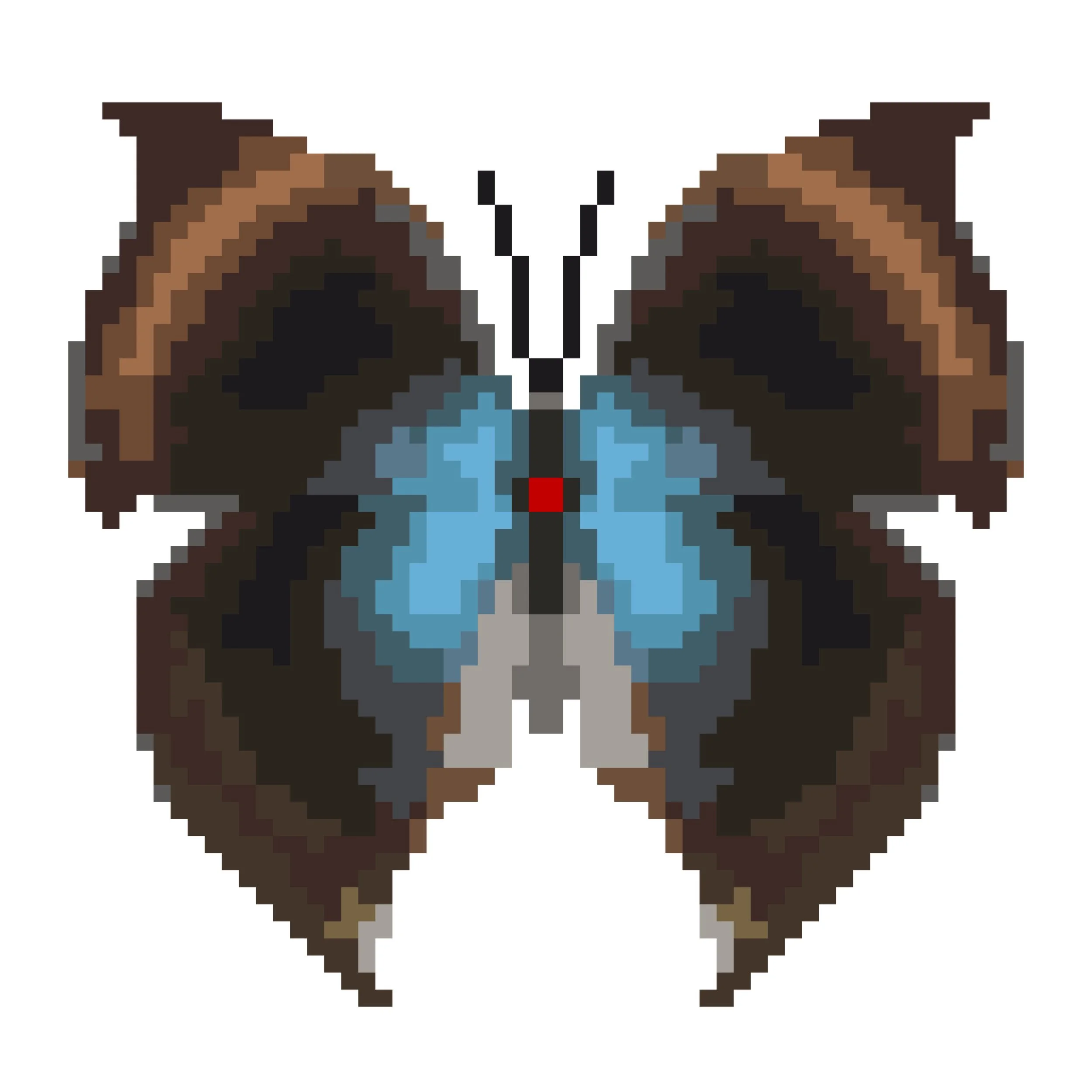 Wingpin#0184-Junonia cymodoce.jpg