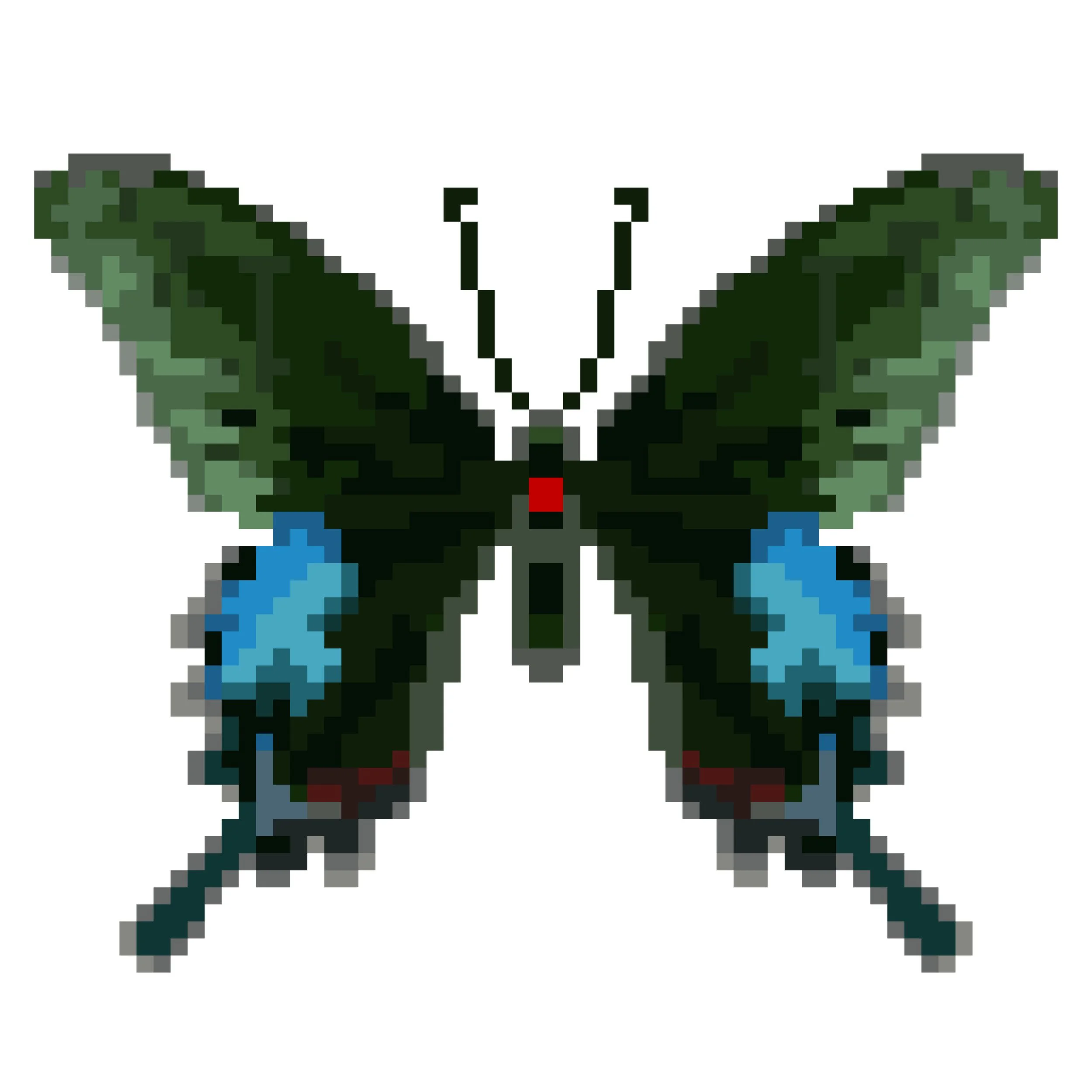 Wingpin#0491-Papilio polyctor significans.jpg
