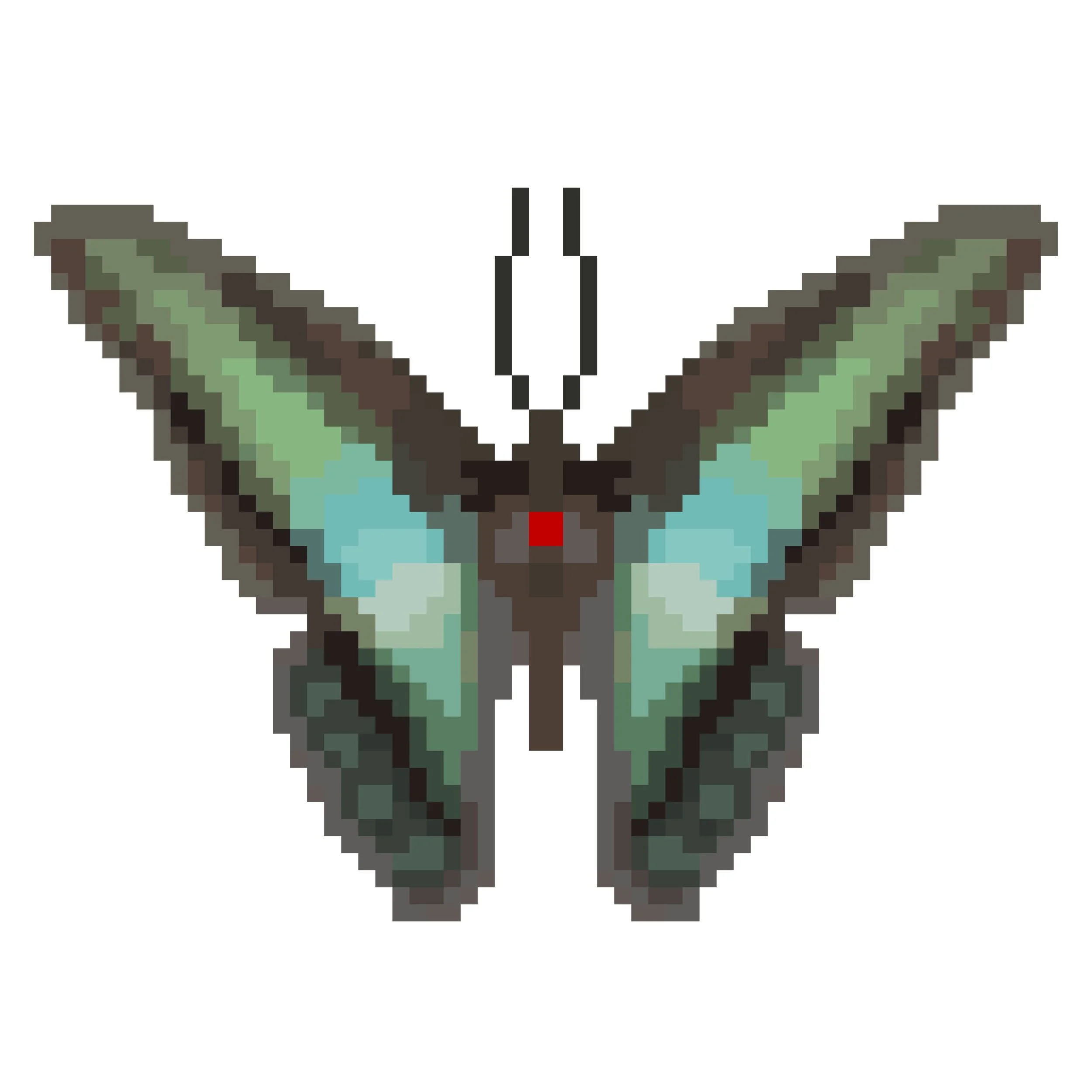 Wingpin#0400-Graphium sarpedon.jpg