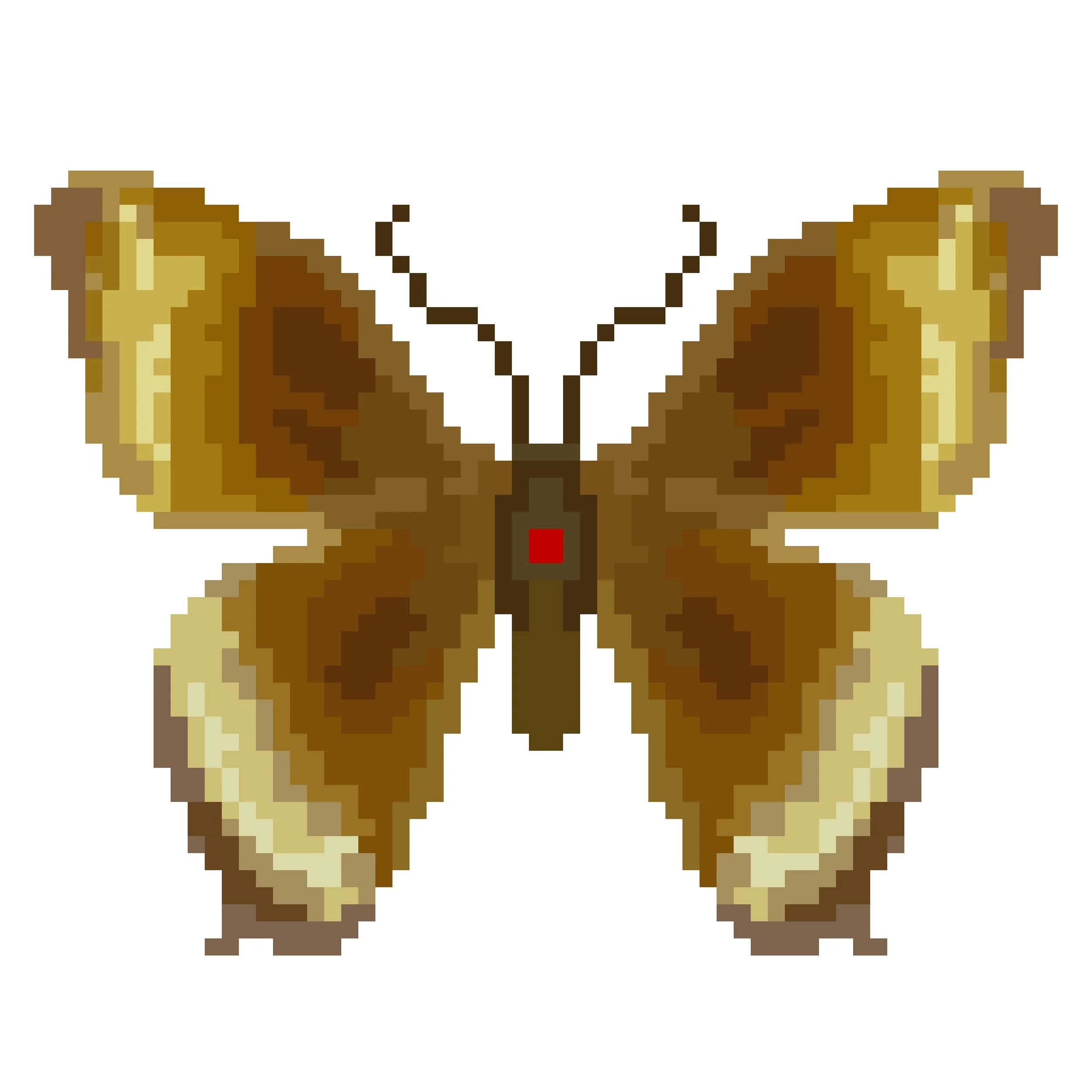Wingpin#0802-Papilio phorbanta.jpg