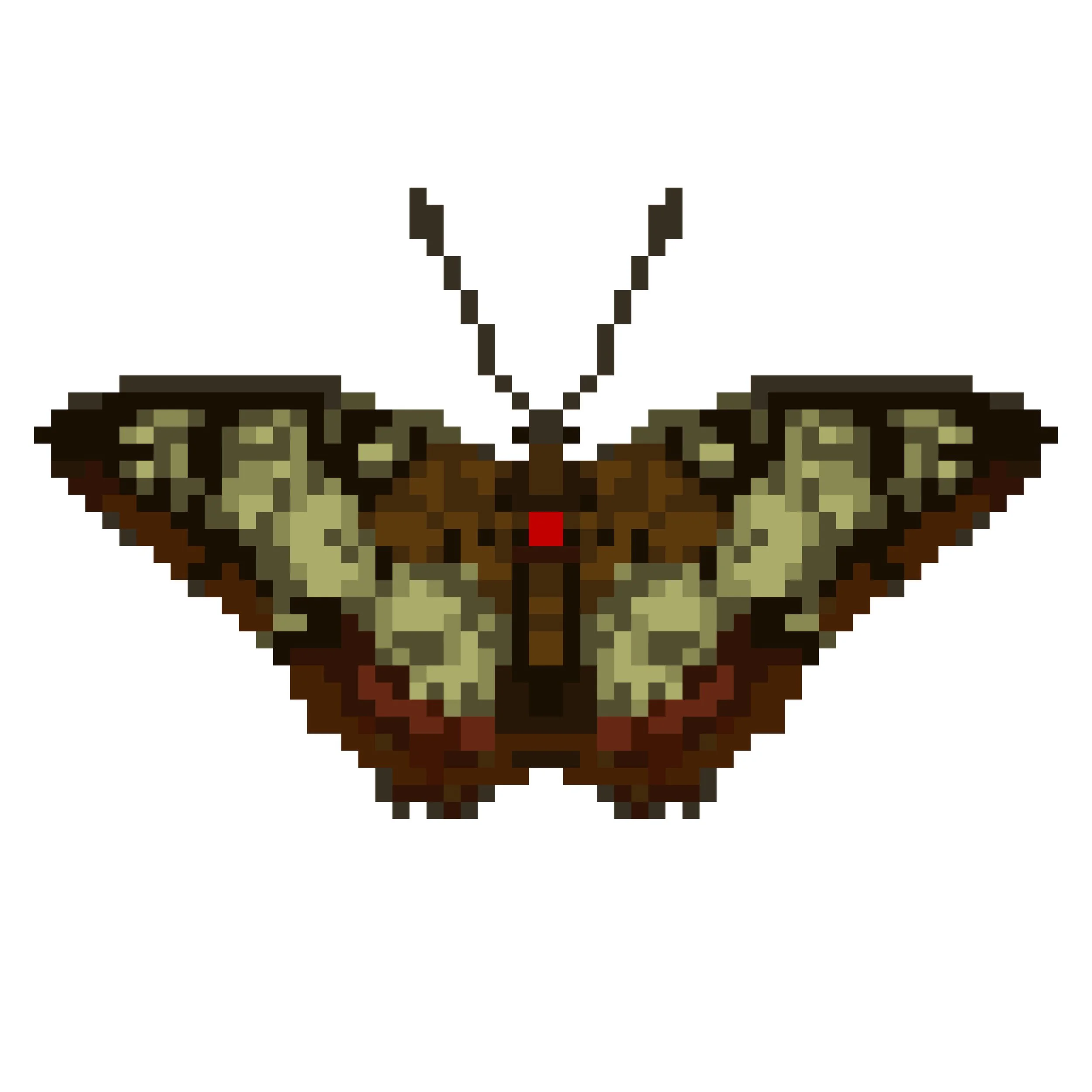 Wingpin#0135-Pseudacraea semire.jpg