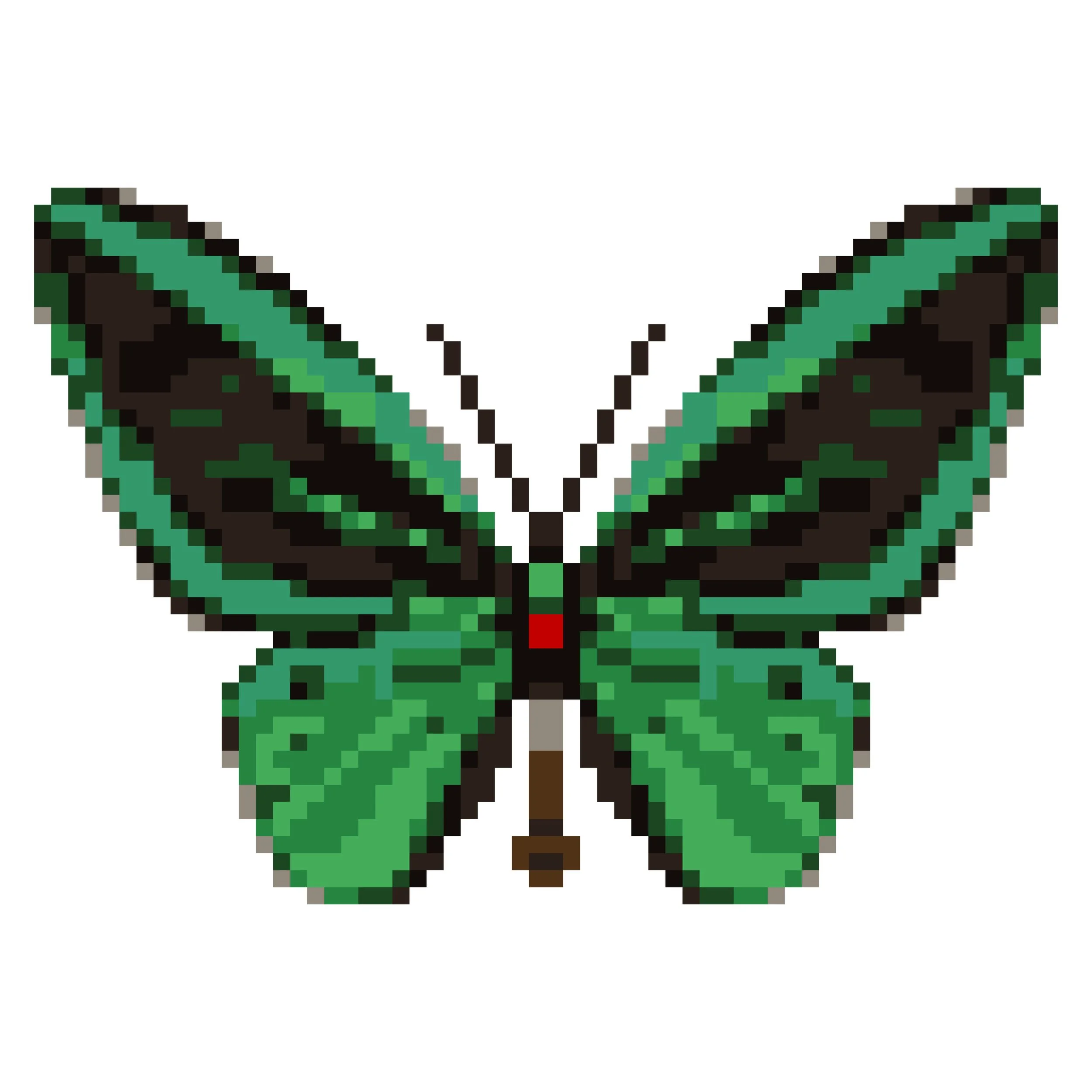 Wingpin#0025-Ornithoptera priamus poseidon.jpg