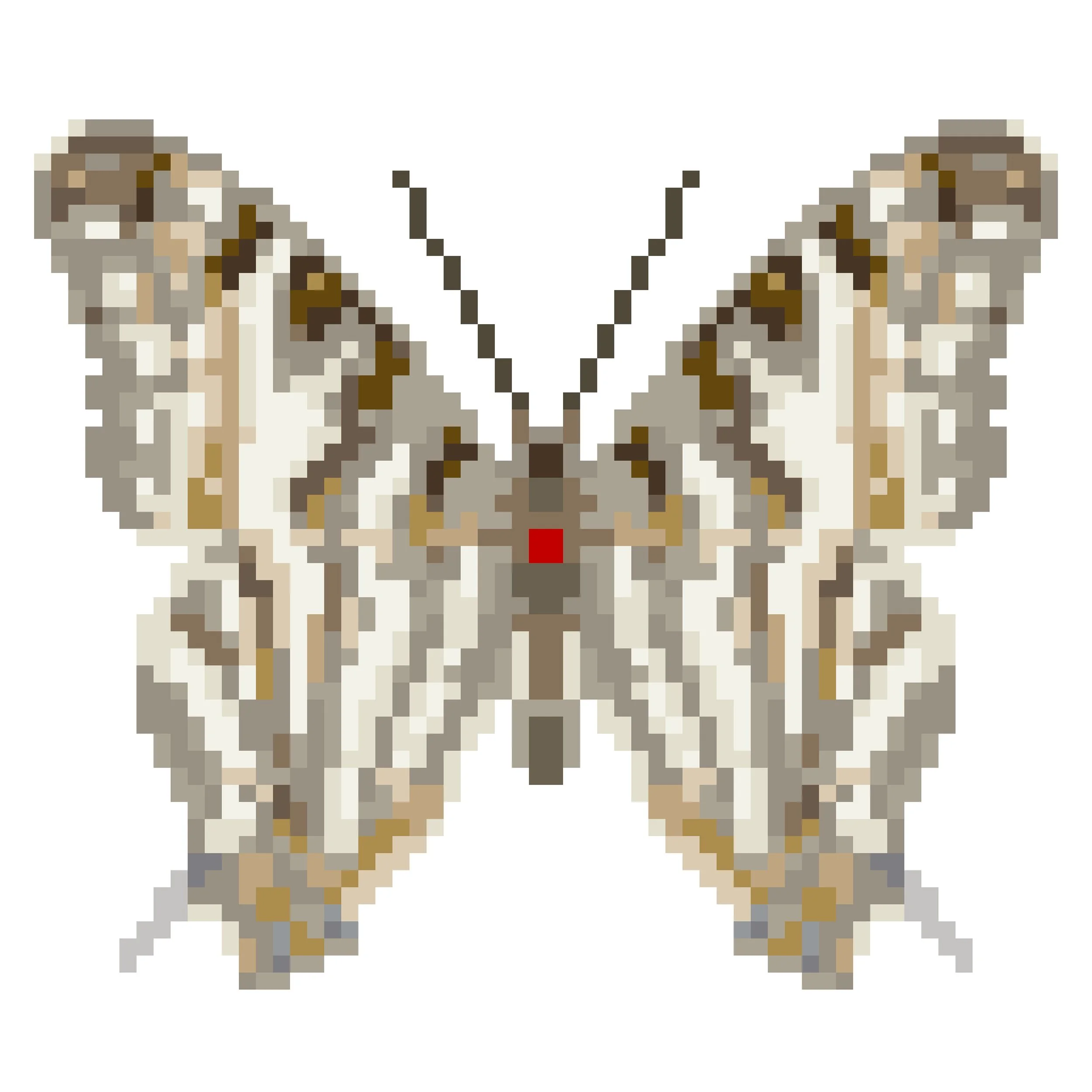 Wingpin#0158-Cyrestis camillus.jpg