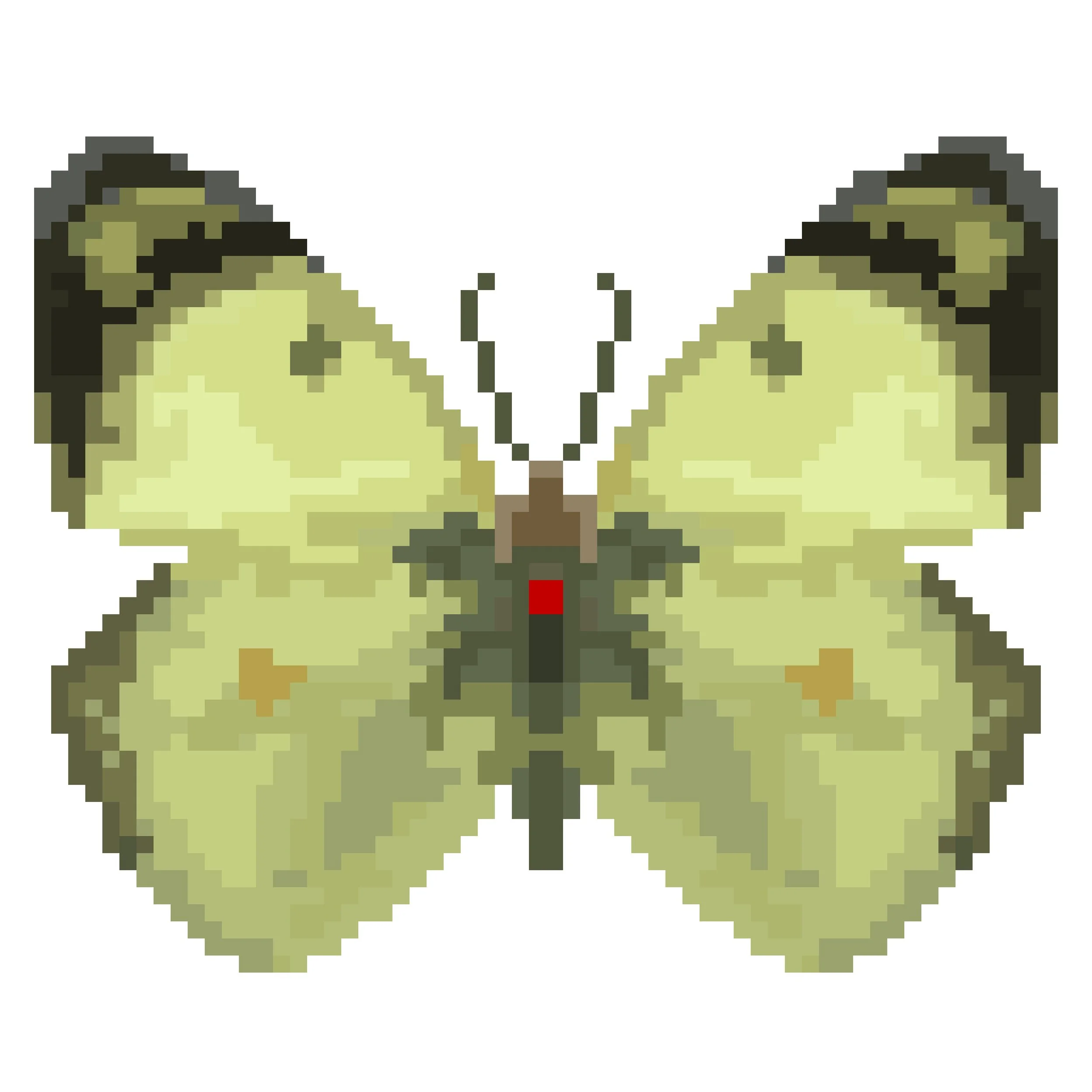 Wingpin#0825-Colias hyale.jpg