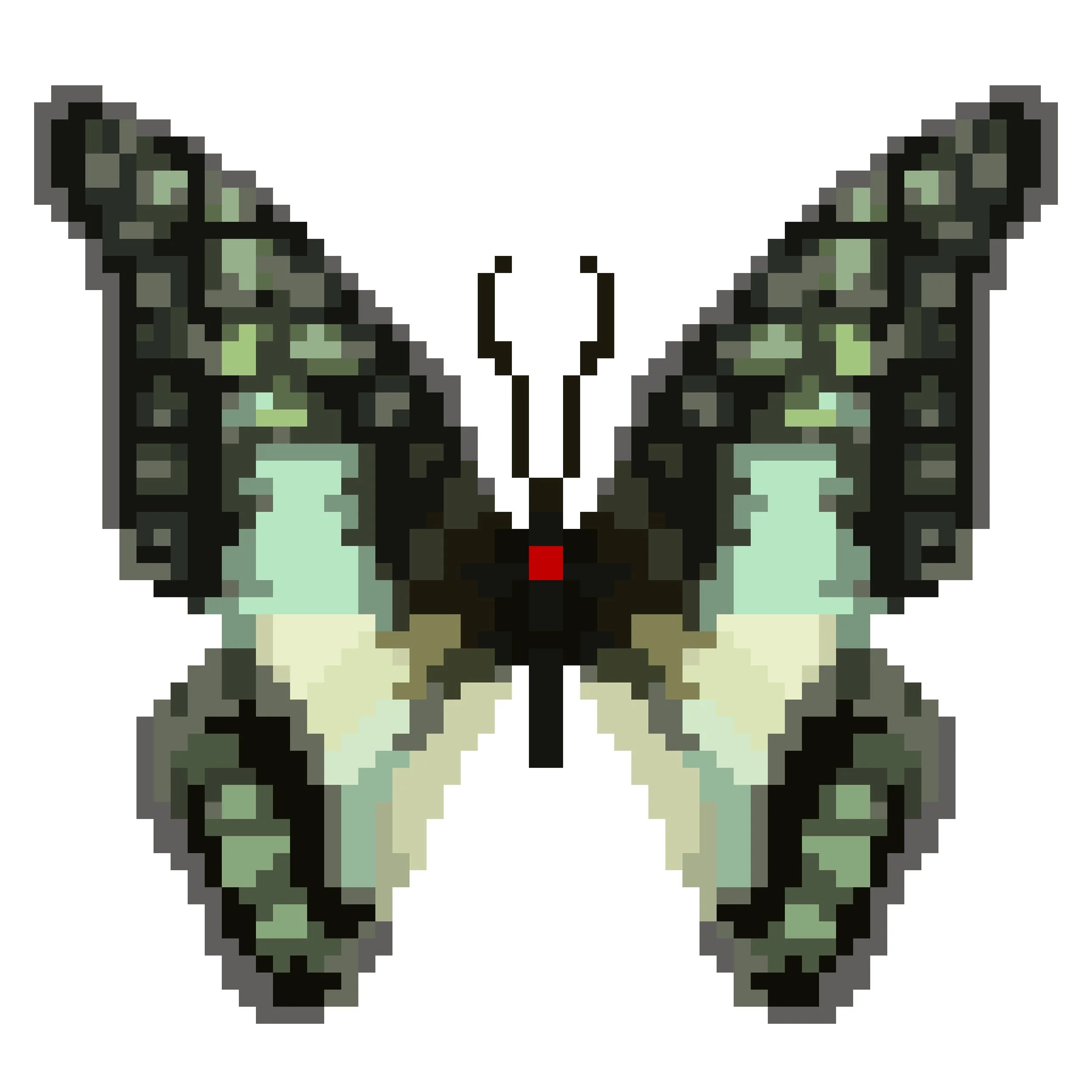 Wingpin#0450-Graphium eurypylus gordion.jpg