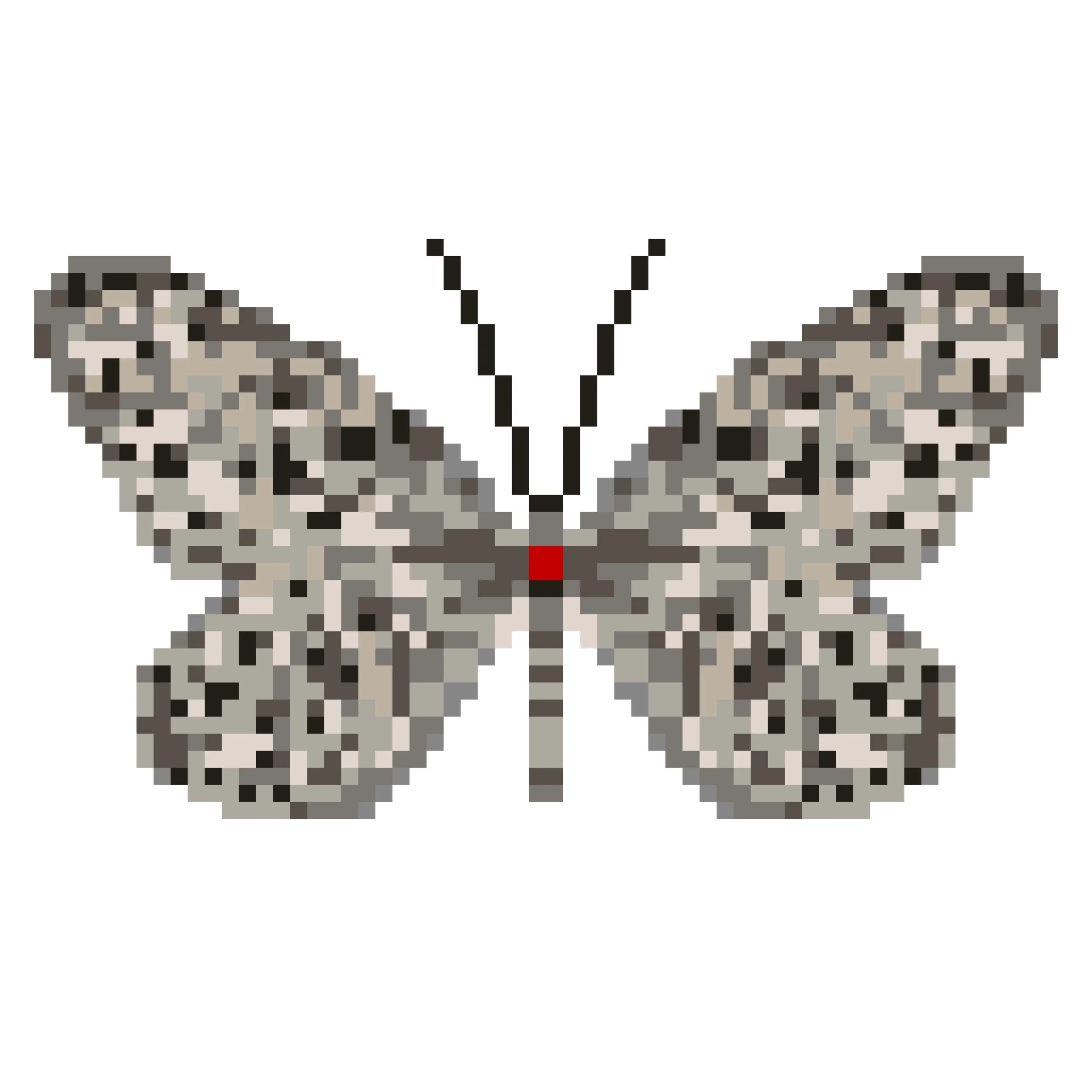 Wingpin#0355-Idea malabarica.jpg
