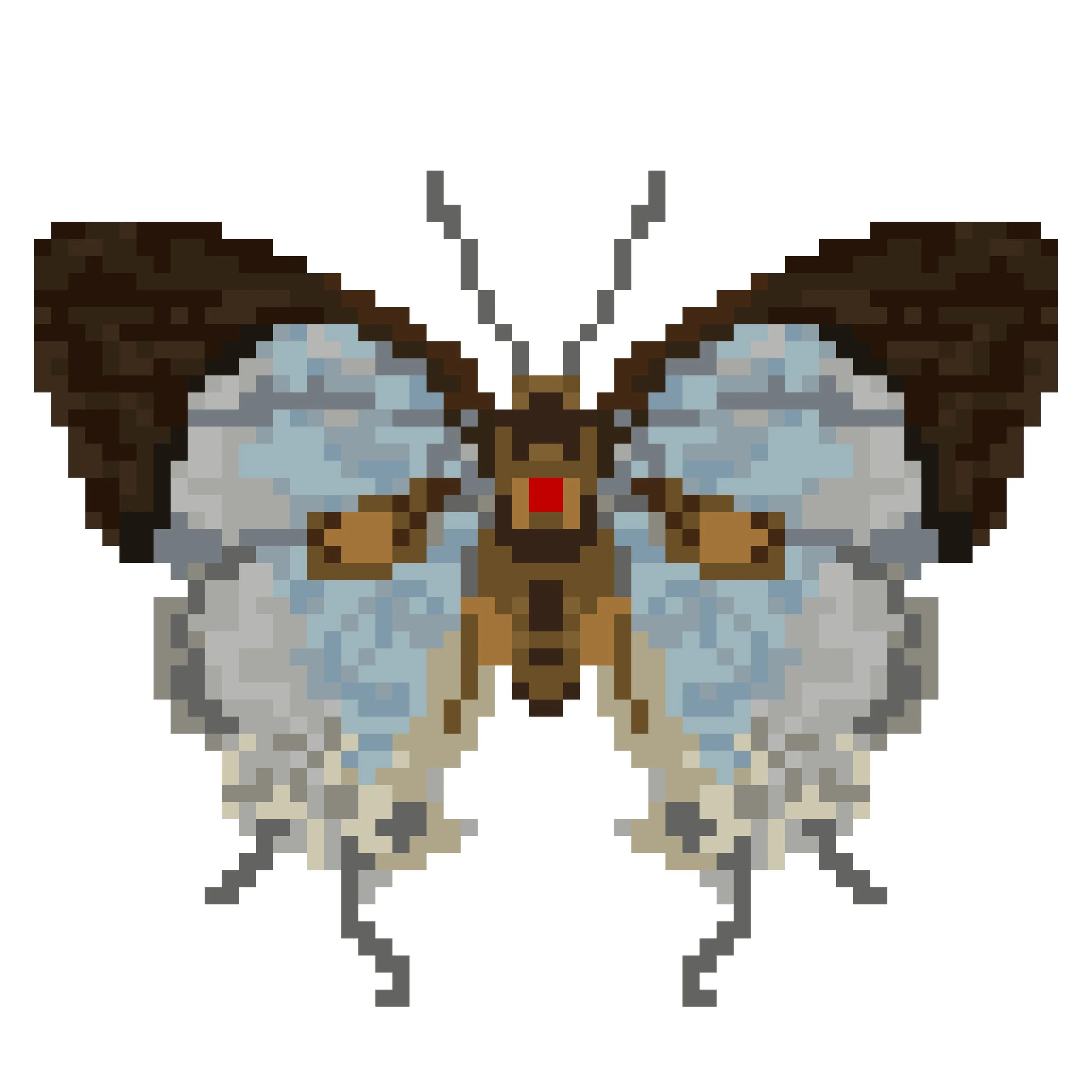 Wingpin#0373-Iolaus aemulus.jpg