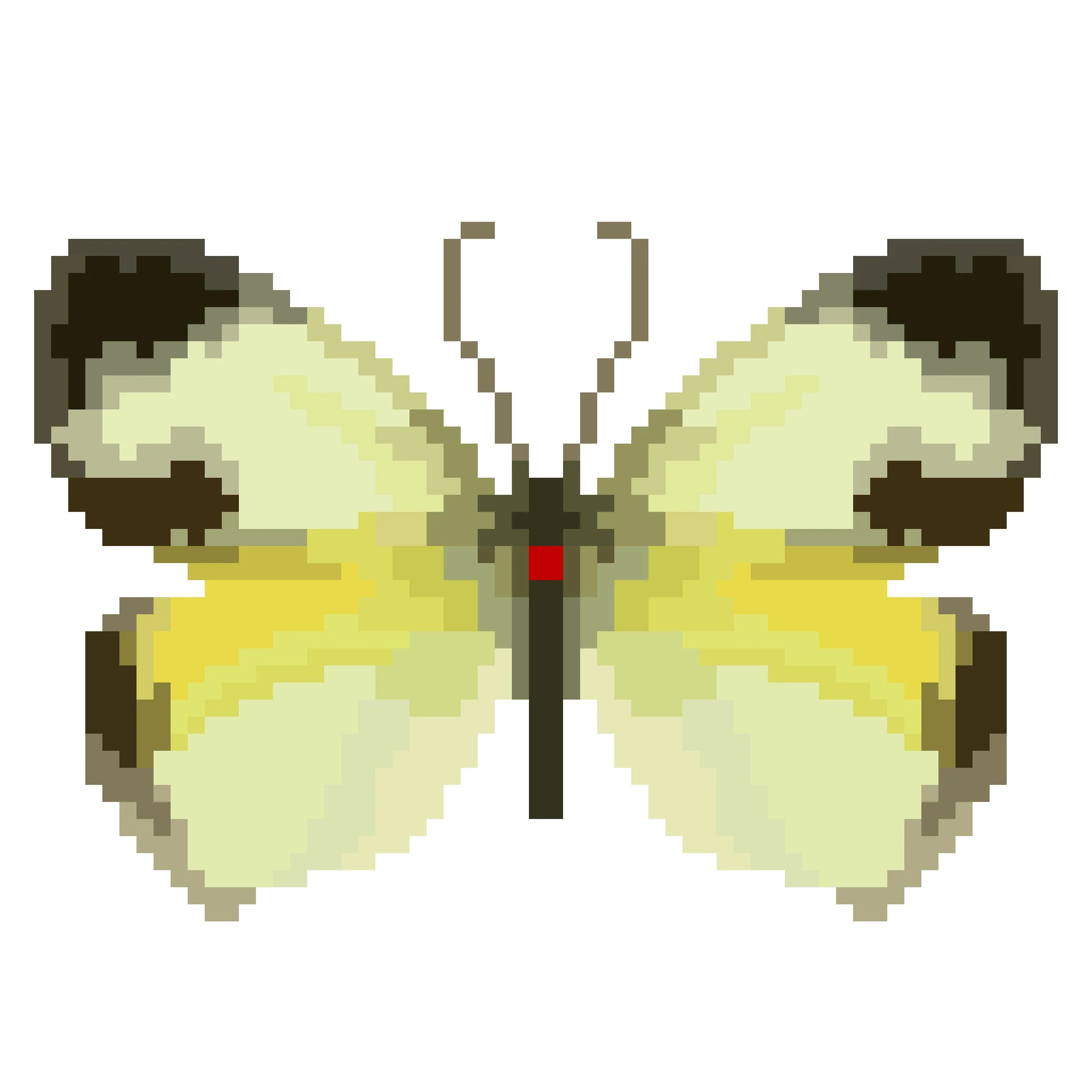 Wingpin#0869-Eurema mexicana.jpg