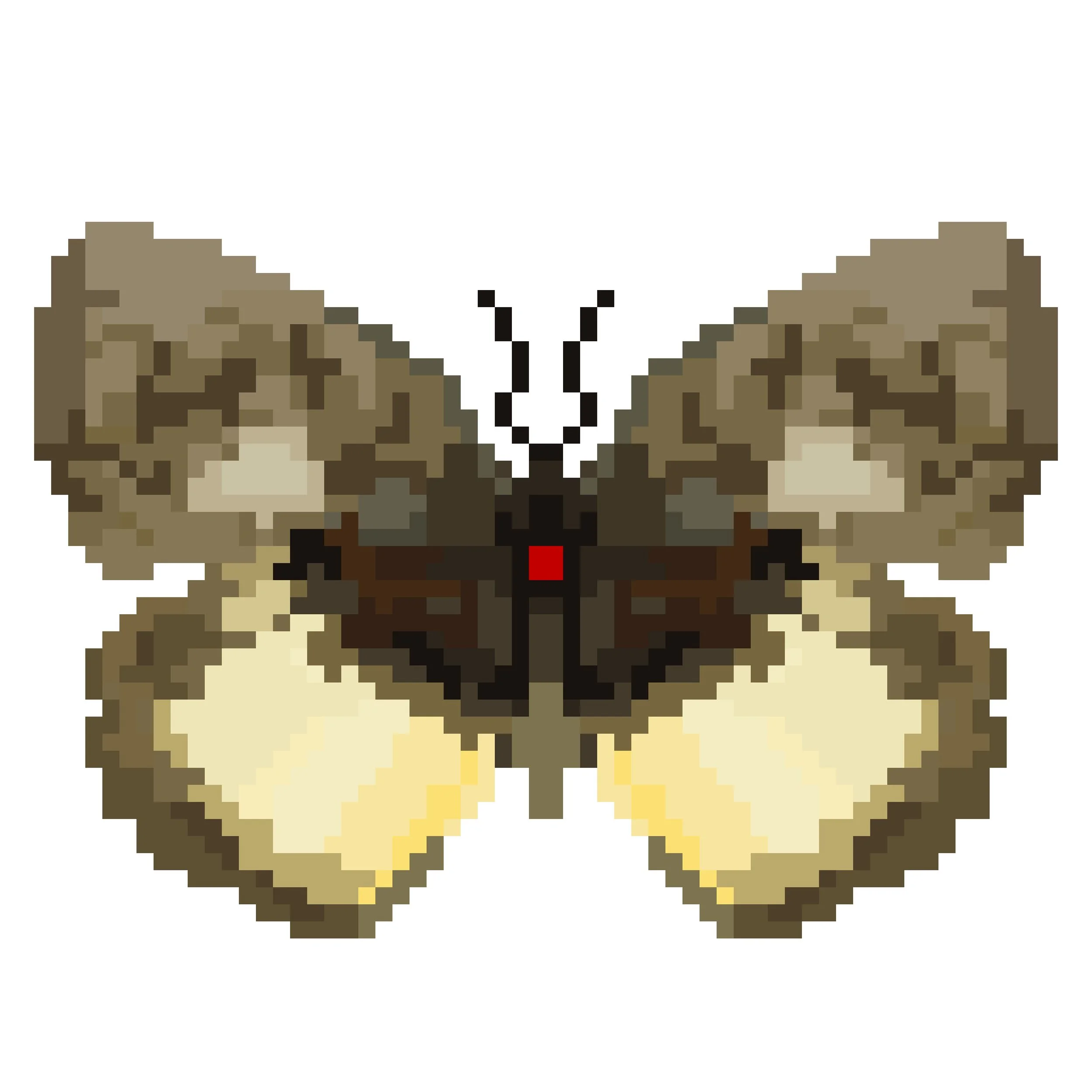 Wingpin#0839-Elymnias esaca.jpg