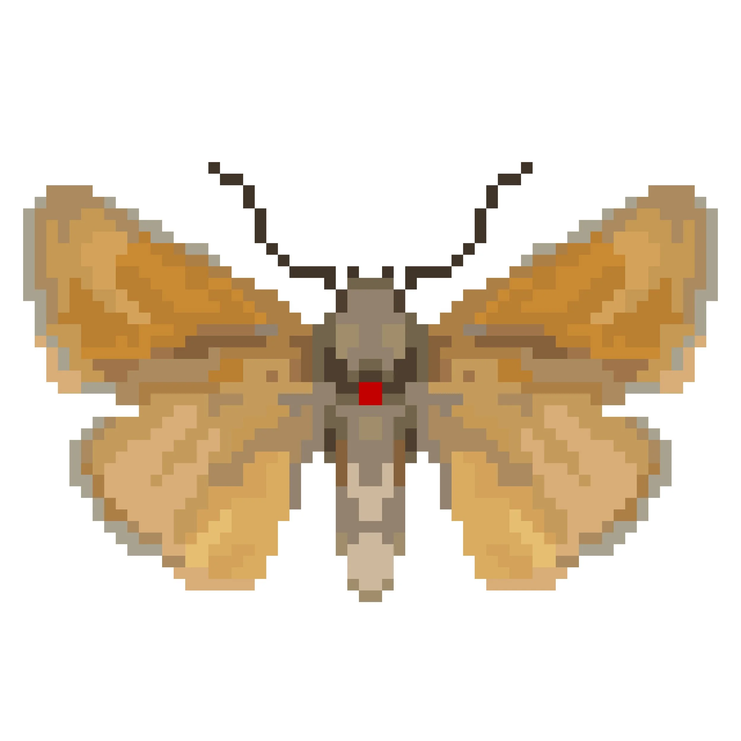 Wingpin#0224-Thymelicus acteon.jpg