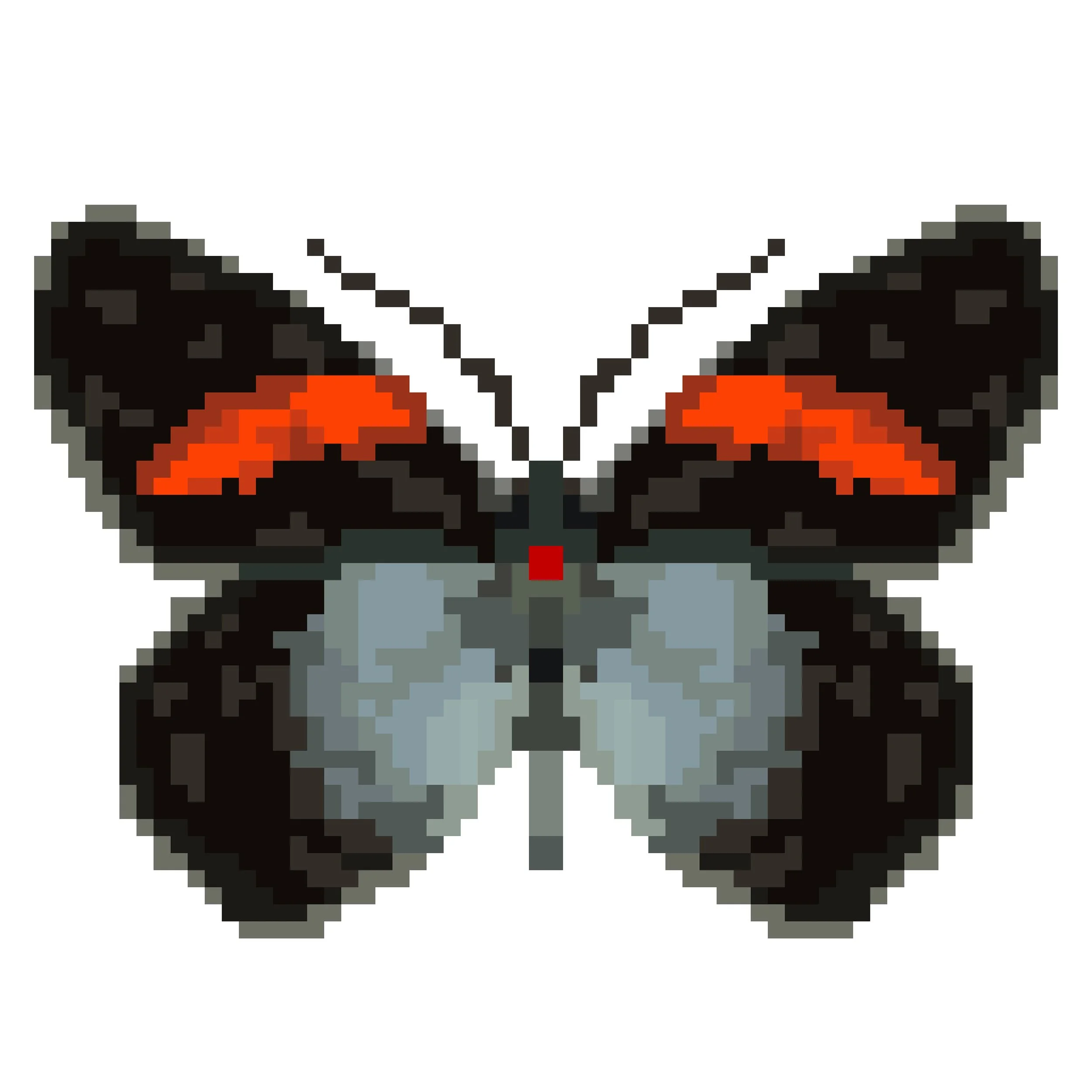 Wingpin#0722-Pereute callinira.jpg