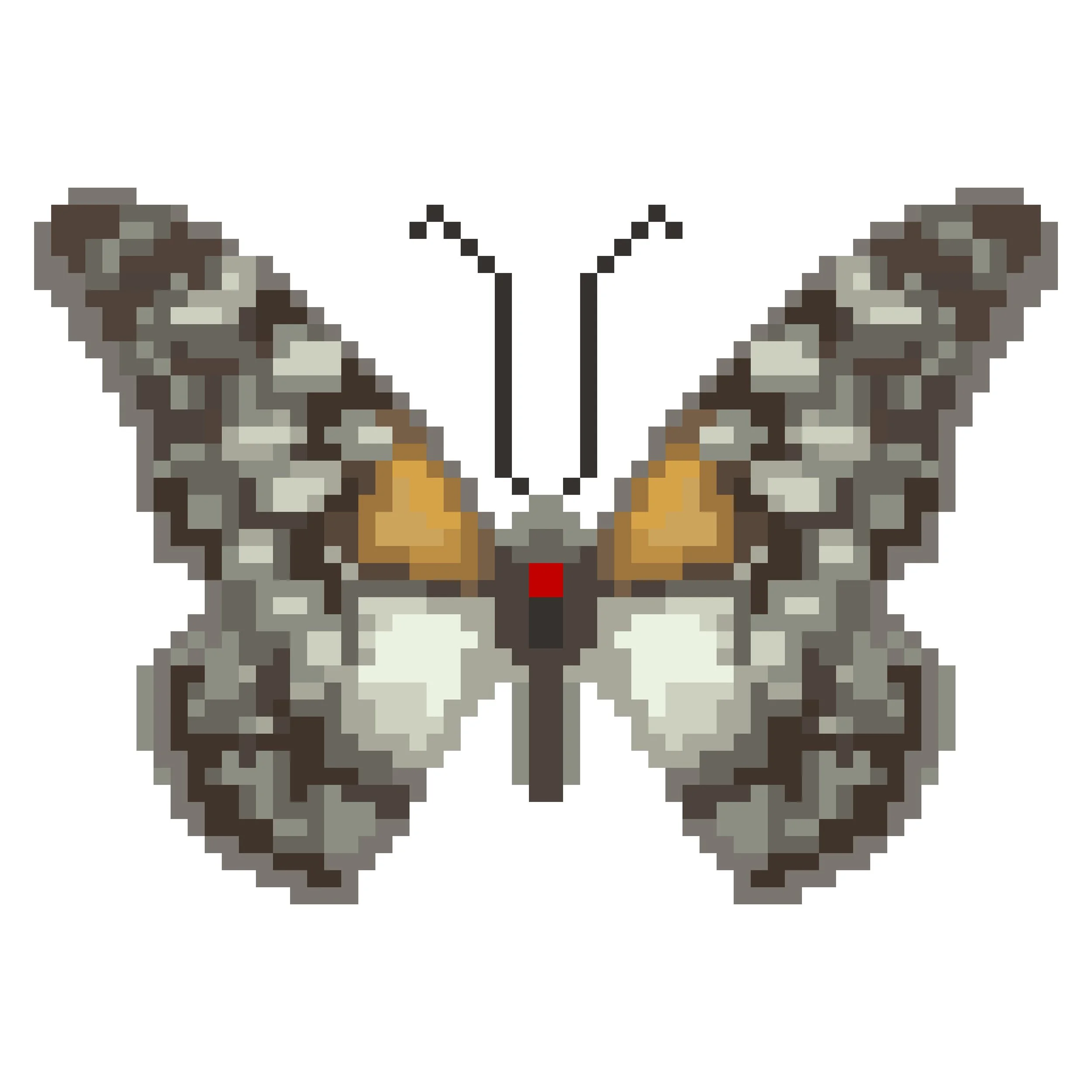 Wingpin#0437-Papilio rex.jpg