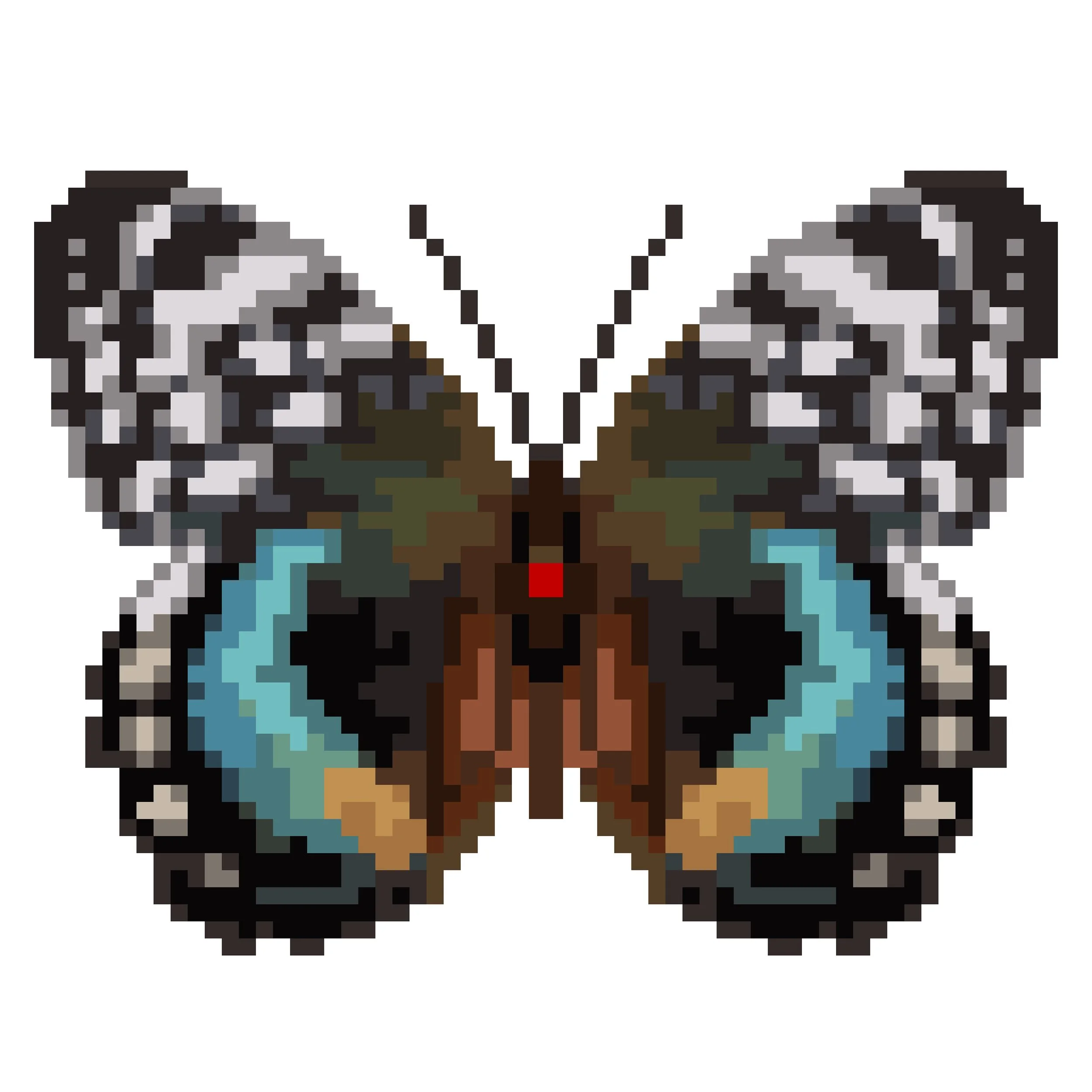 Wingpin#0498-Lexias satrapes amlana.jpg