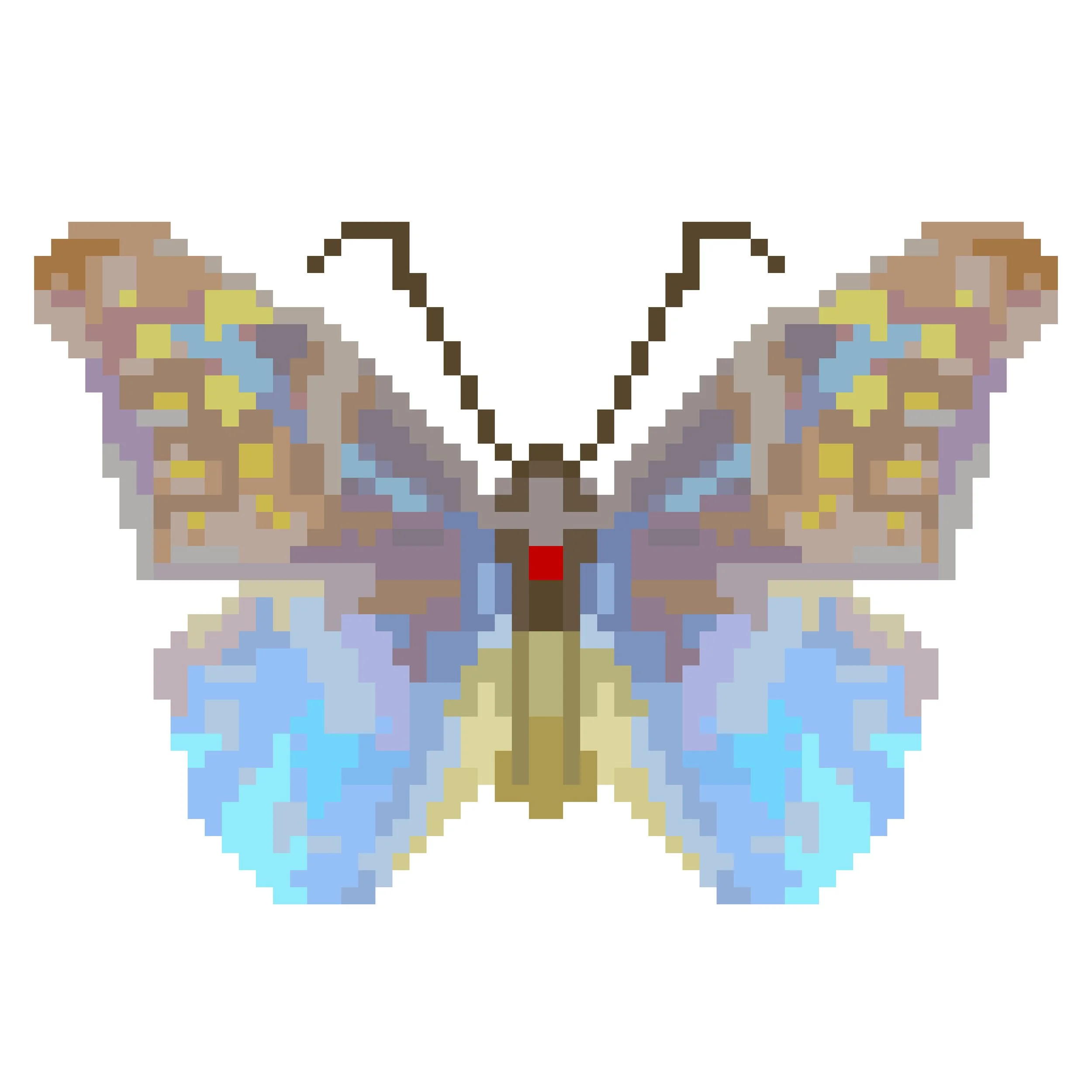 Wingpin#0711-Morpho augustinae.jpg