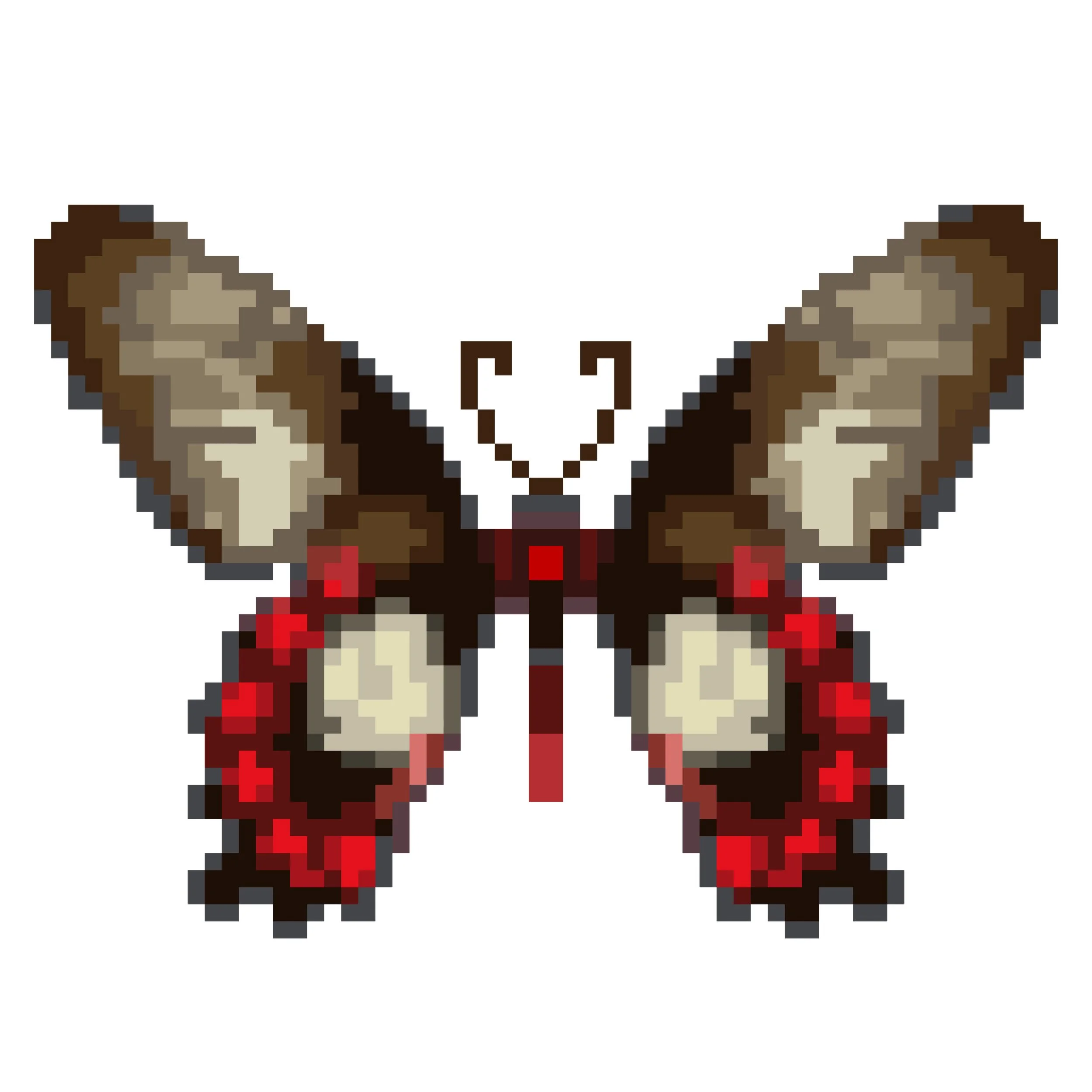 Wingpin#0515-Pachliopta polydorus.jpg
