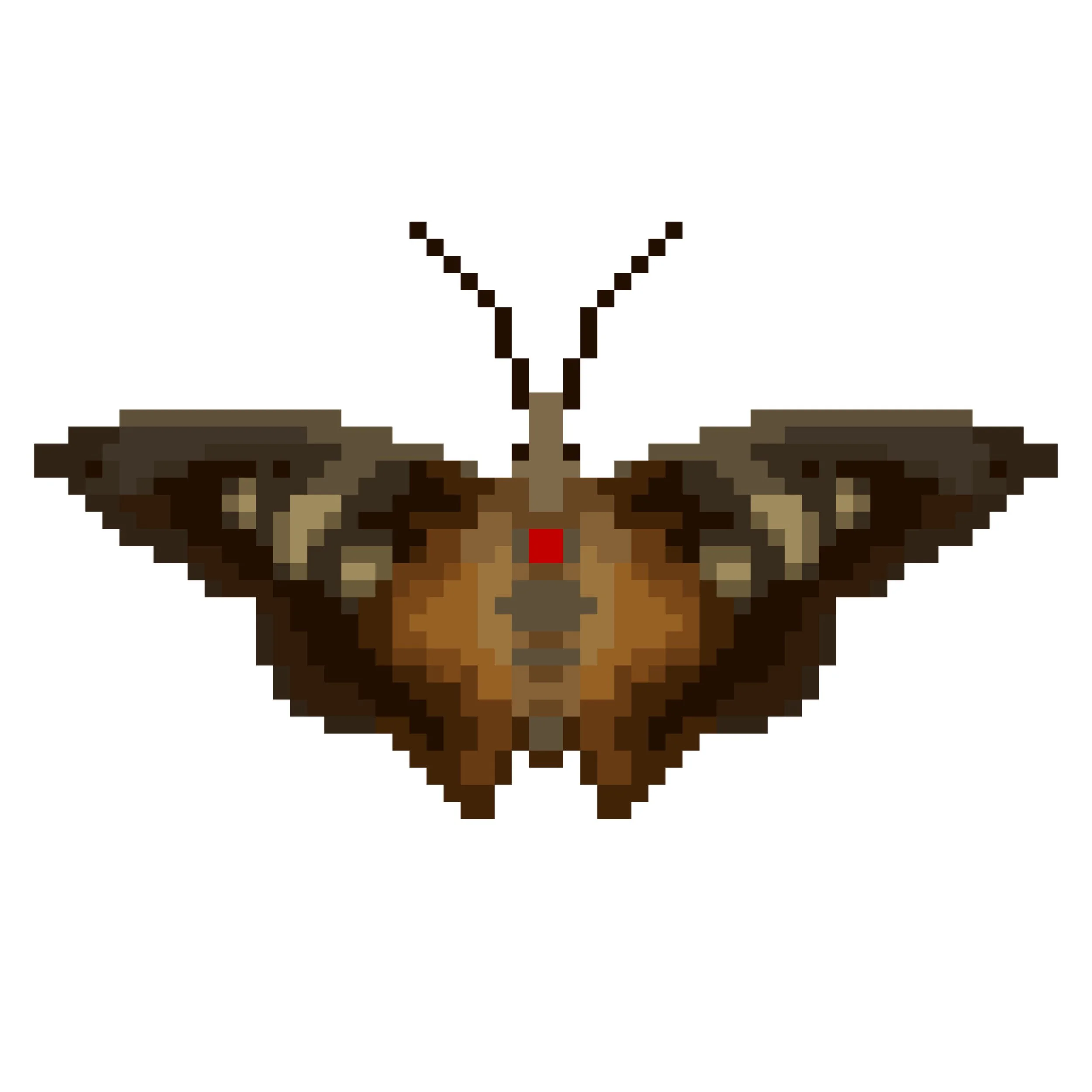 Wingpin#0220-Badamia exclamationis.jpg