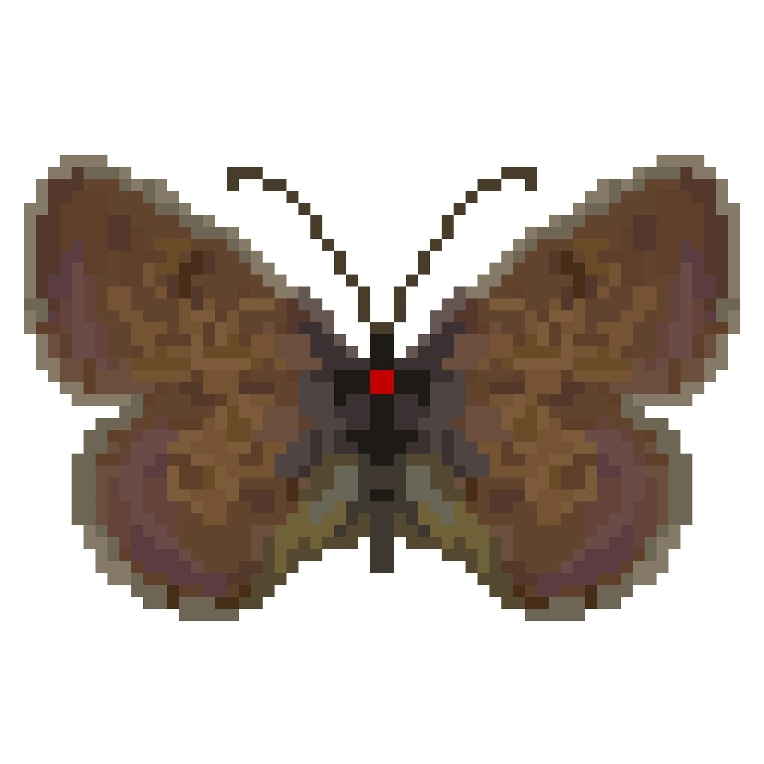Wingpin#0436-Tarucus rosacea.jpg