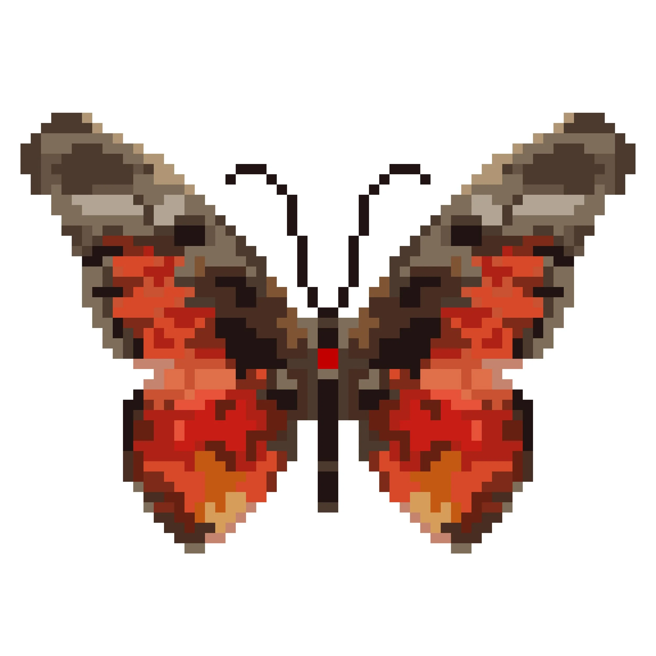 Wingpin#0249-Graphium ridleyanus.jpg