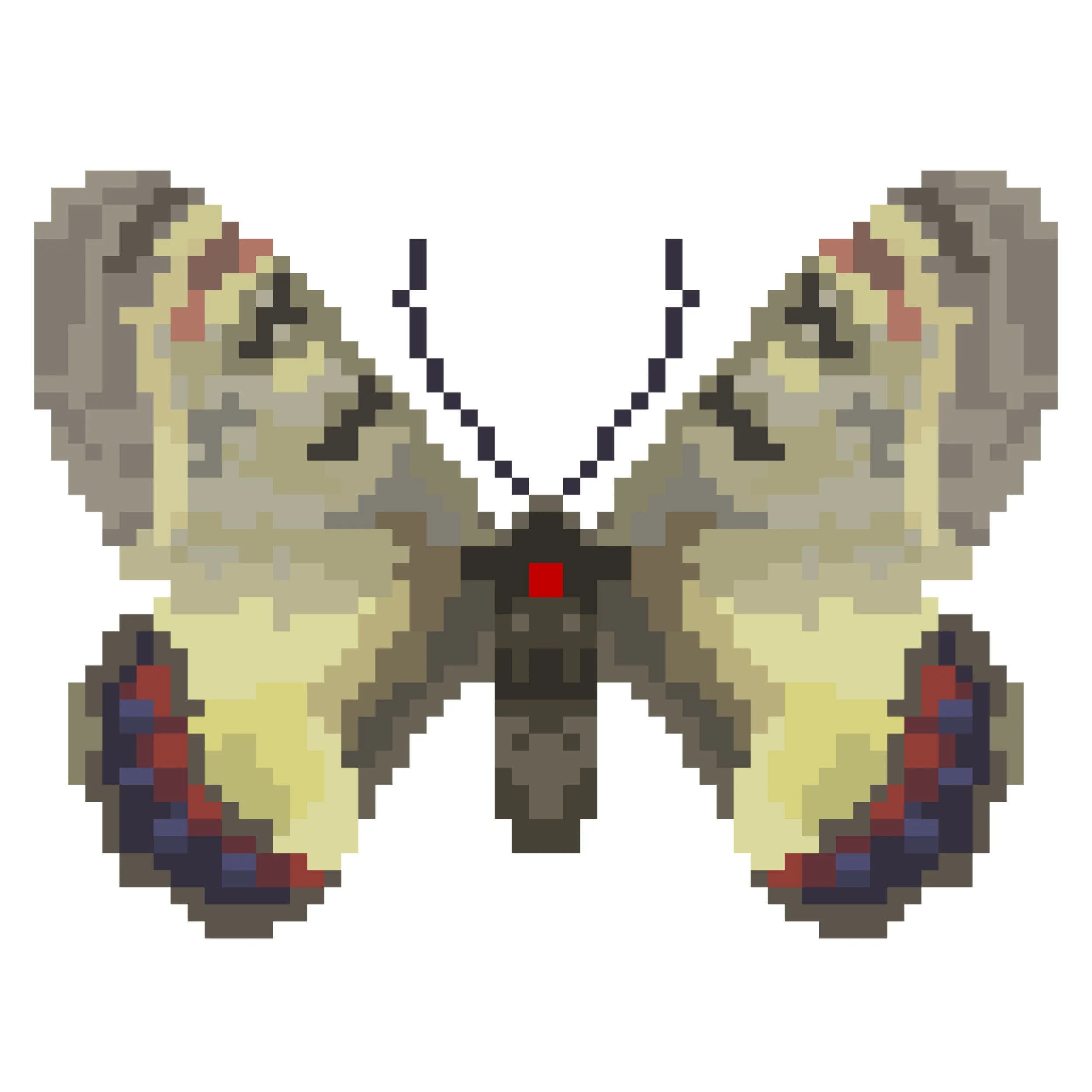Wingpin#0813-Archon apollinus.jpg