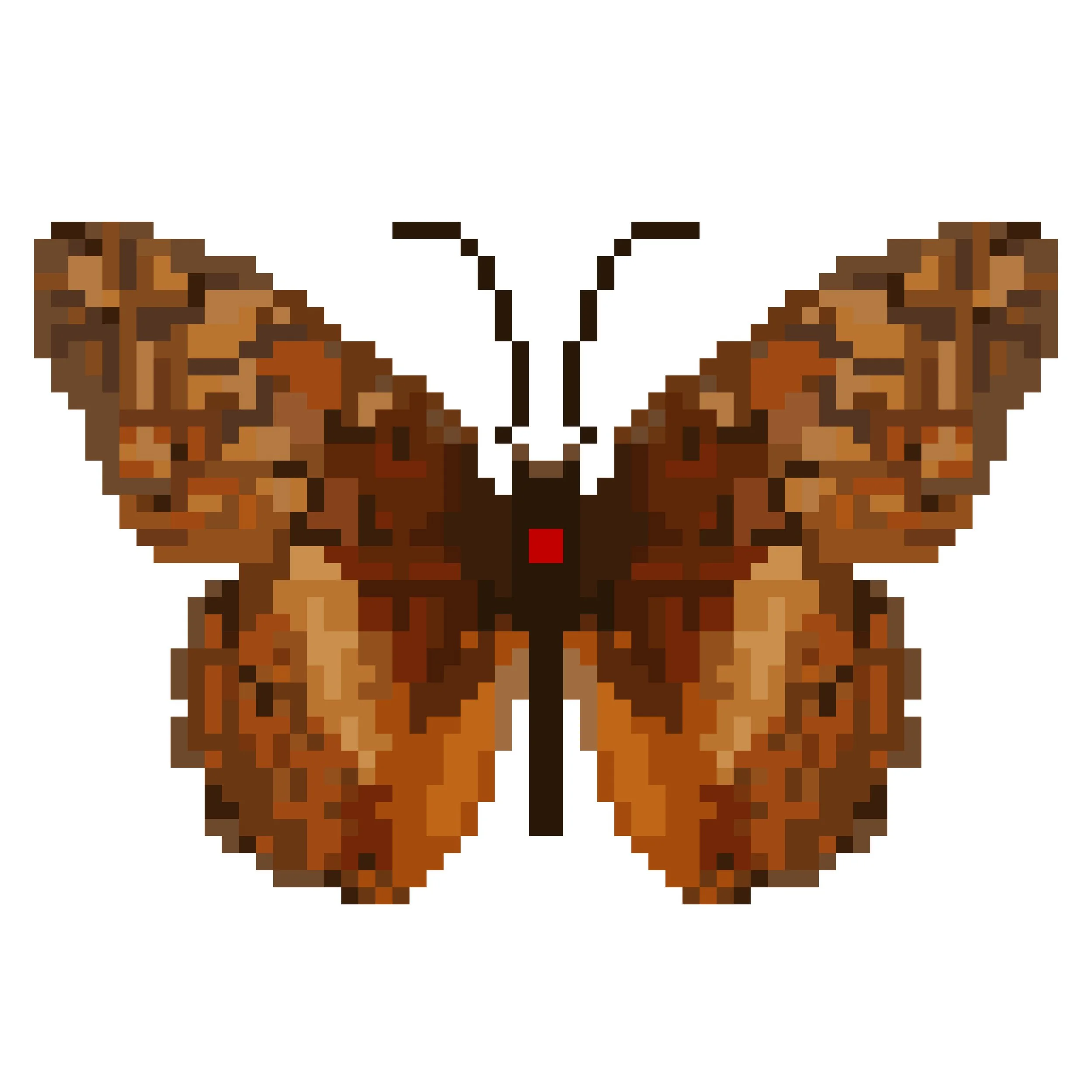 Wingpin#0639-Euptoieta claudia.jpg