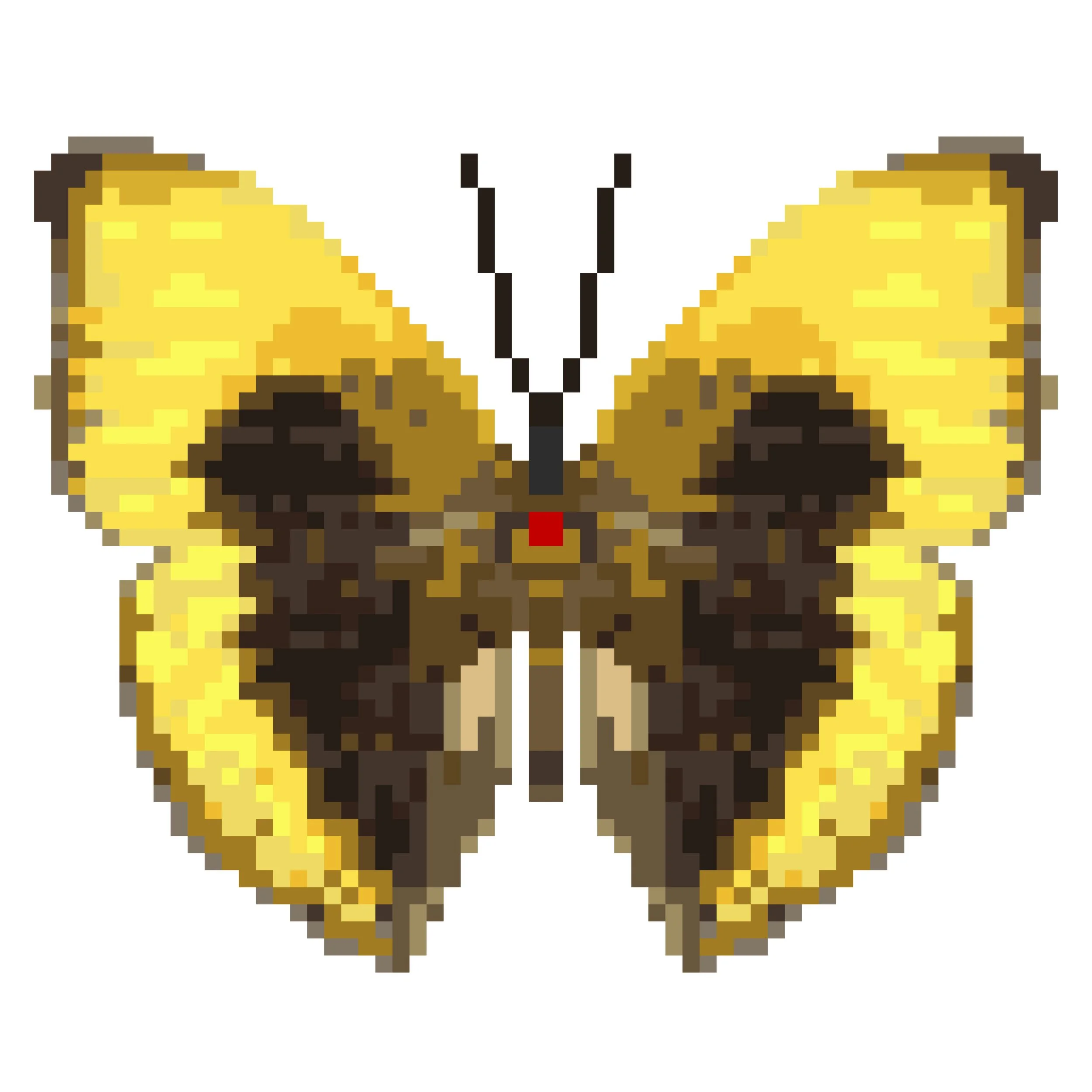 Wingpin#0112-Cymothoe hypatha.jpg