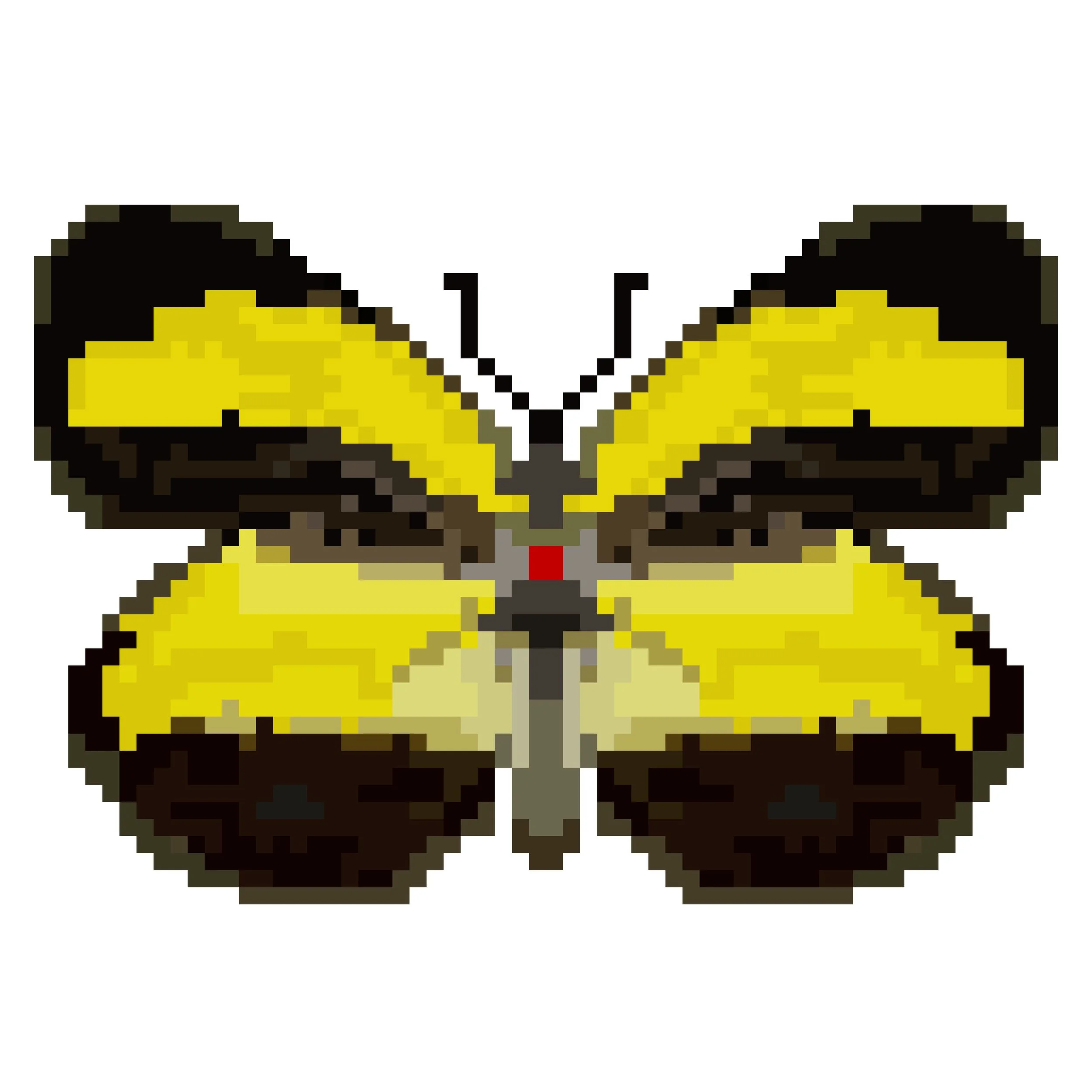 Wingpin#0624-Eurema alitha.jpg
