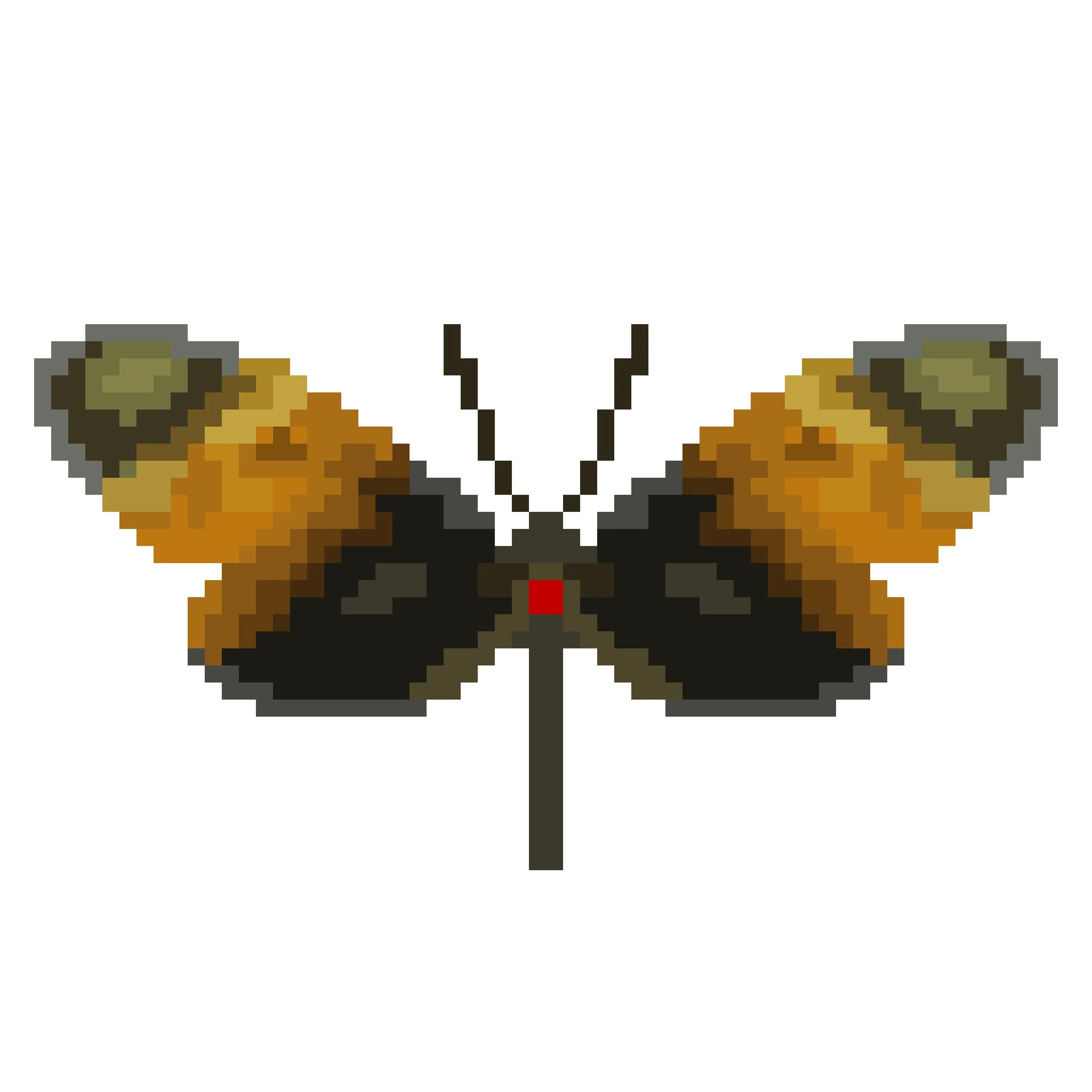 Wingpin#0670-Mechanitis mazaeus.jpg