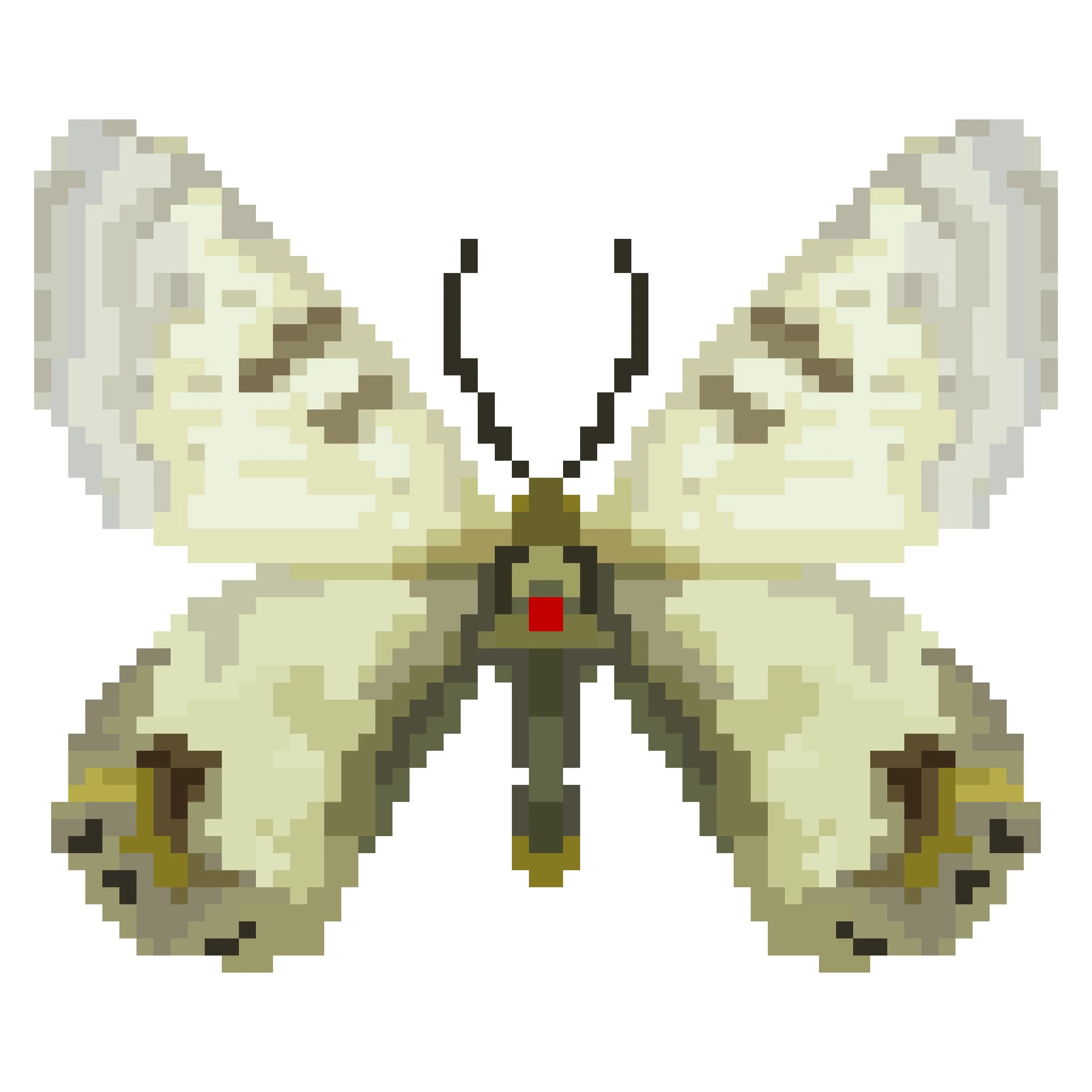 Wingpin#0732-Parnassius autocrator.jpg