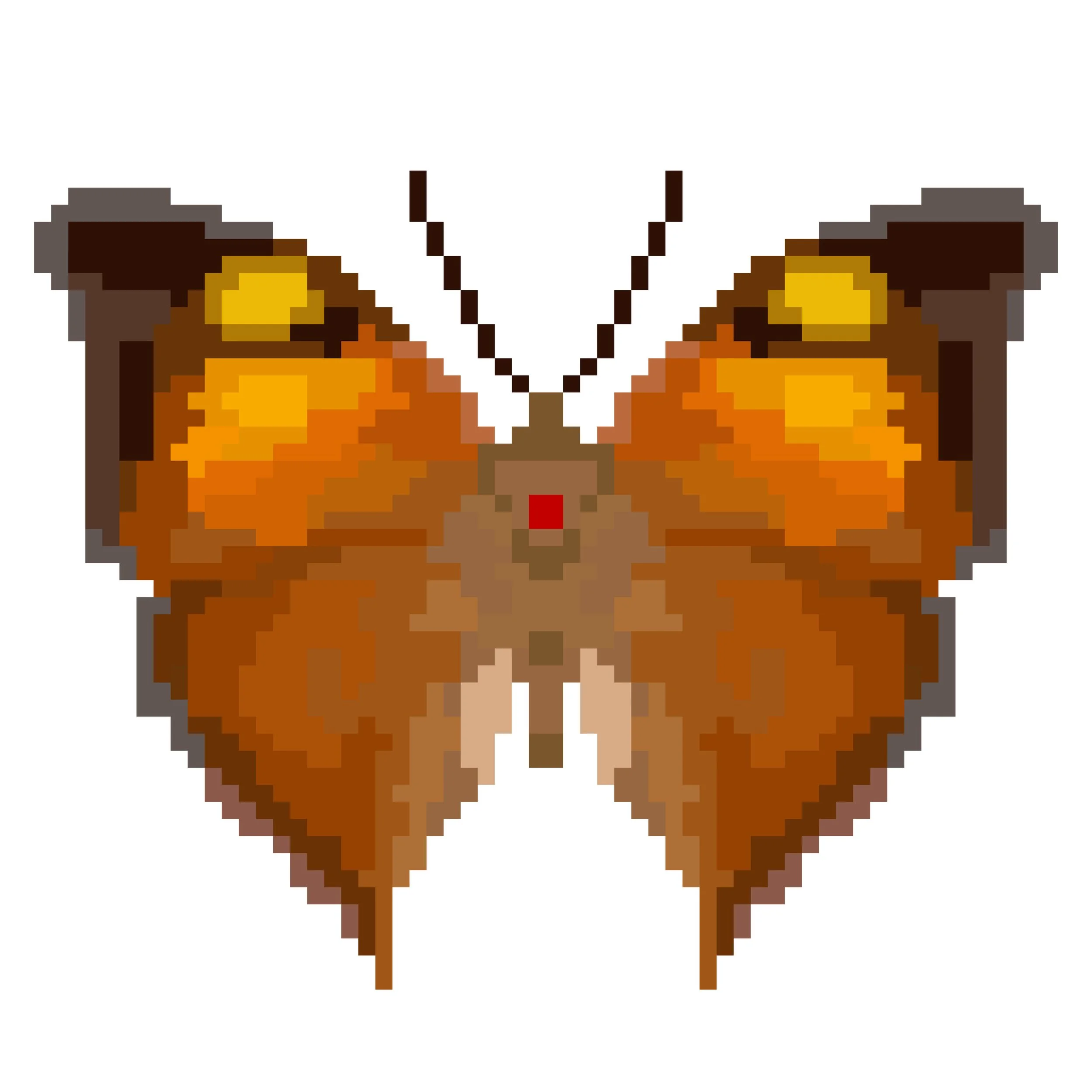 Wingpin#0333-Doleschallia bisaltide.jpg