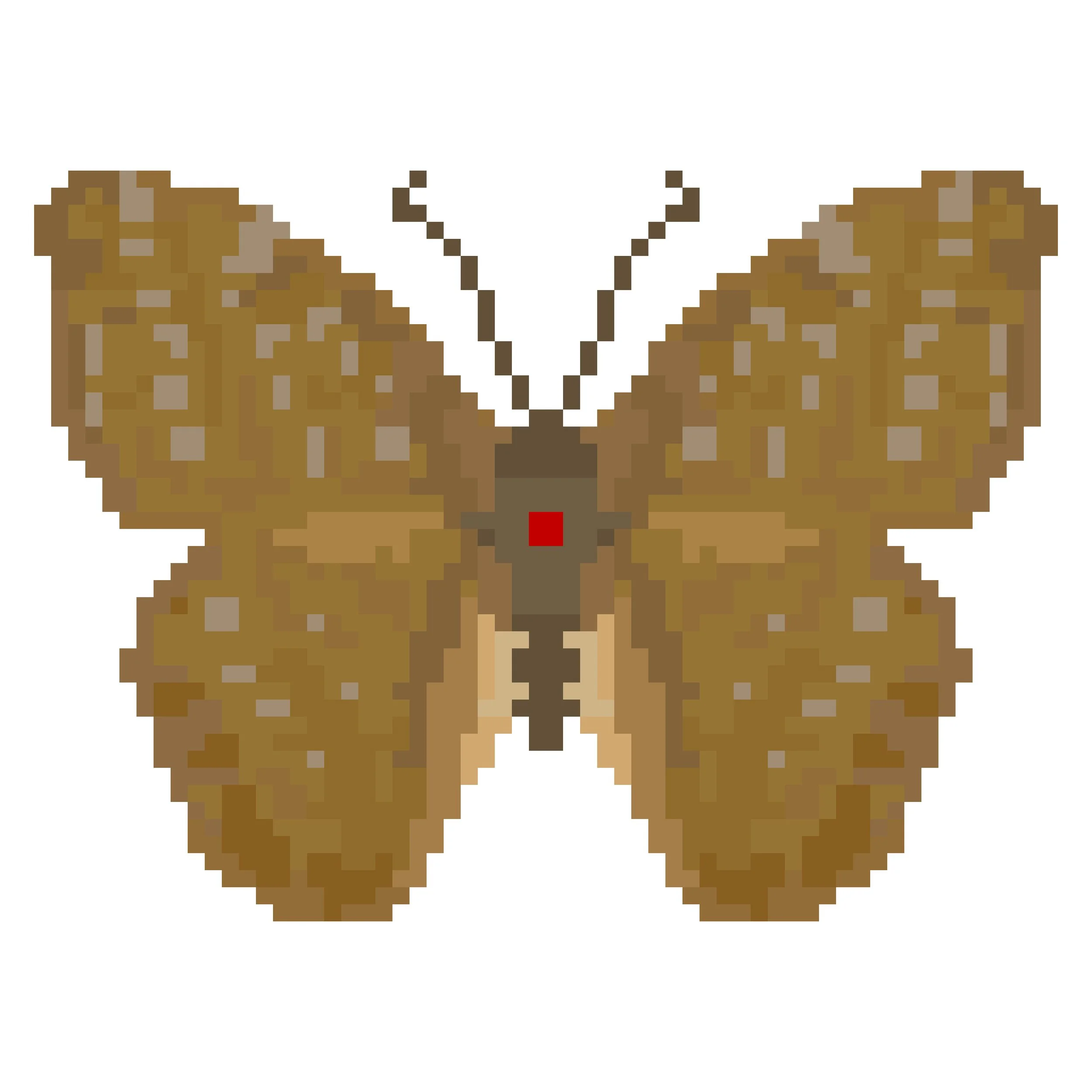 Wingpin#0190-Hamanumida daedalus.jpg