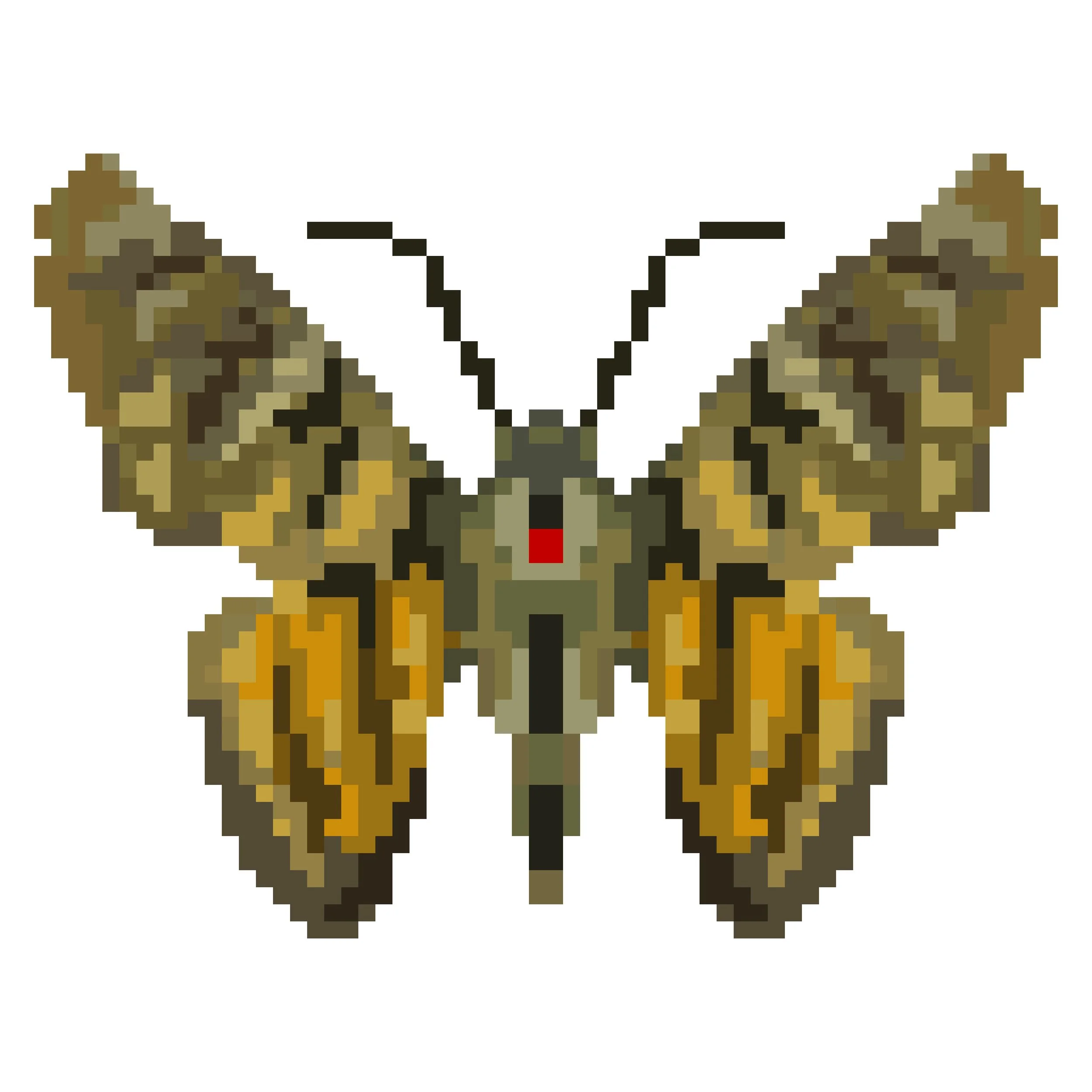 Wingpin#0812-Croniades prieria.jpg