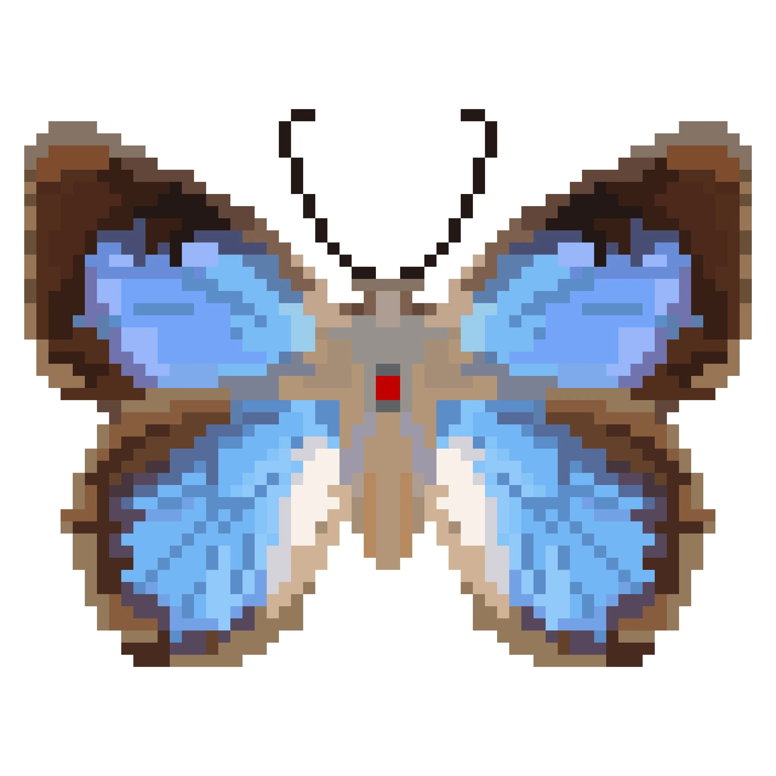 Wingpin#0811-Ogyris amaryllis.jpg