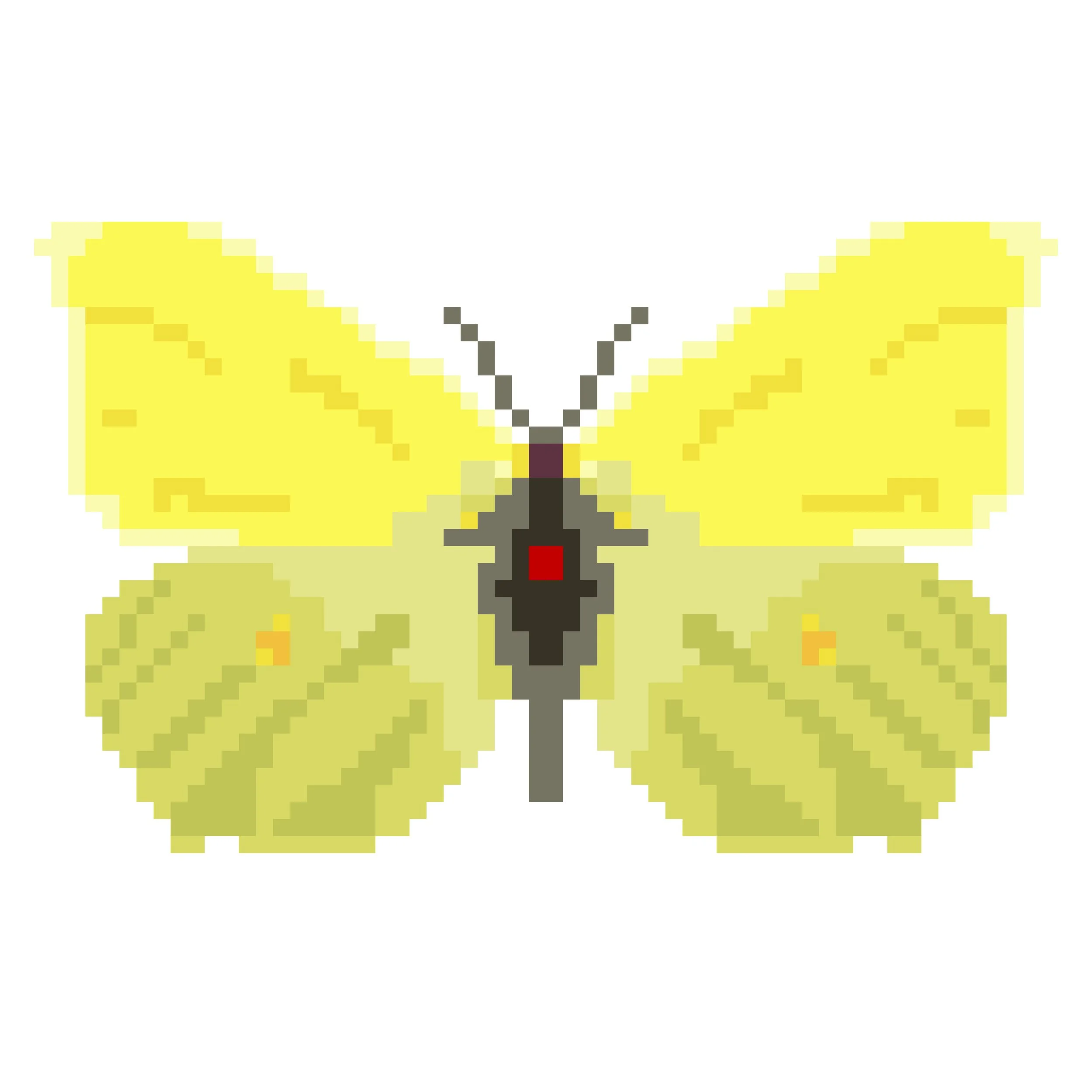 Wingpin#0029-Gonepteryx rhamni.jpg