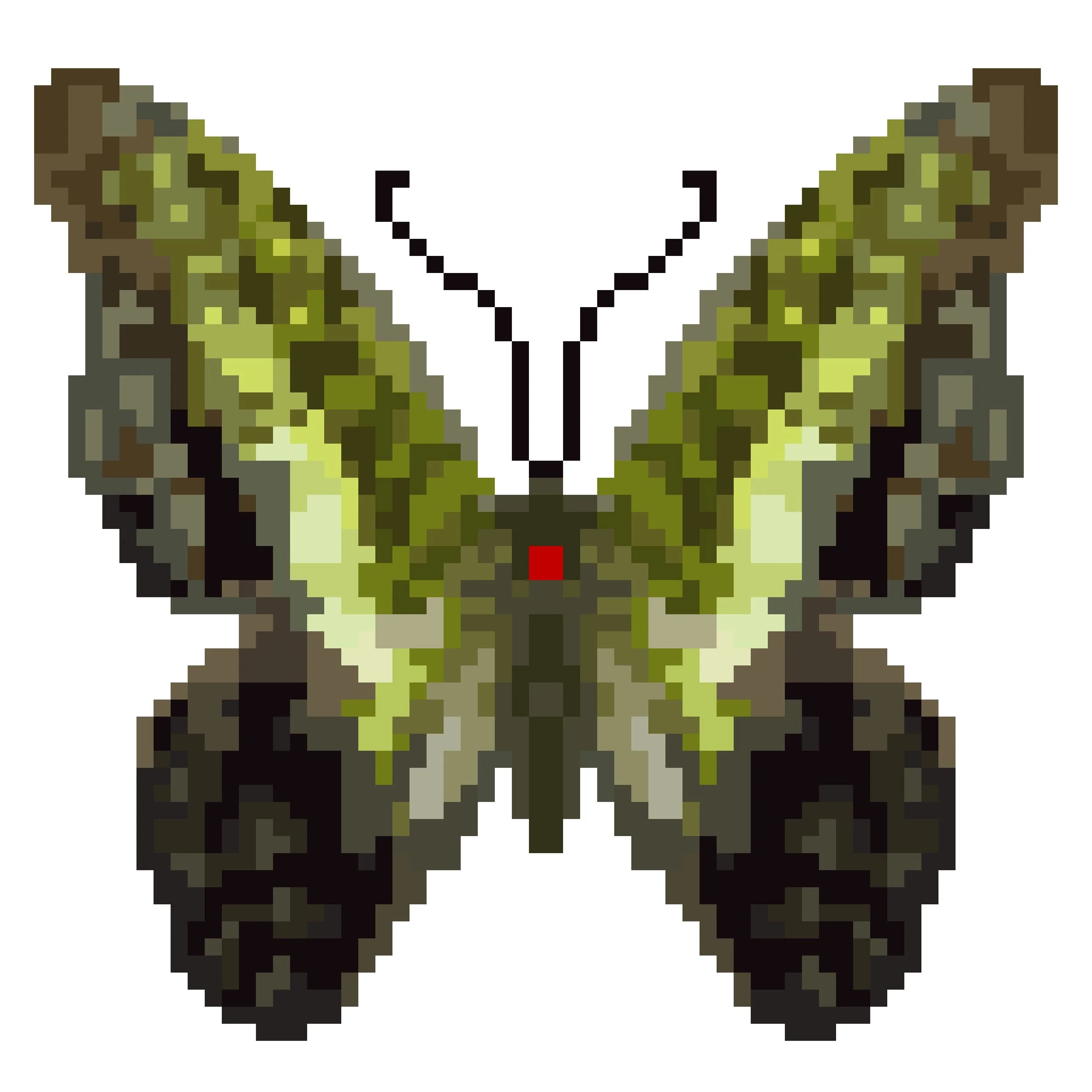 Wingpin#0941-Graphium macfarlanei.jpg