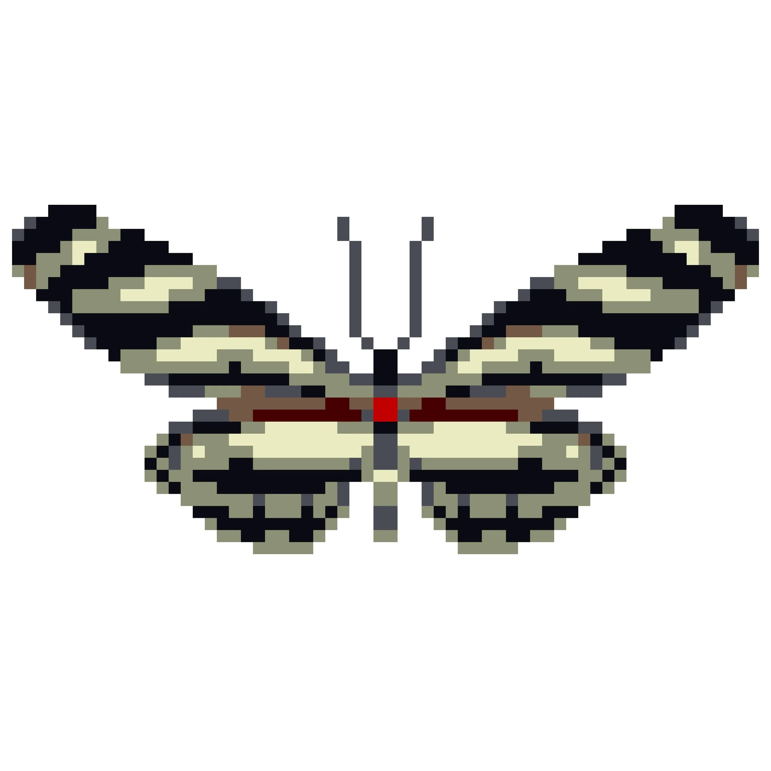 Wingpin#0013-Heliconius charithonia.jpg